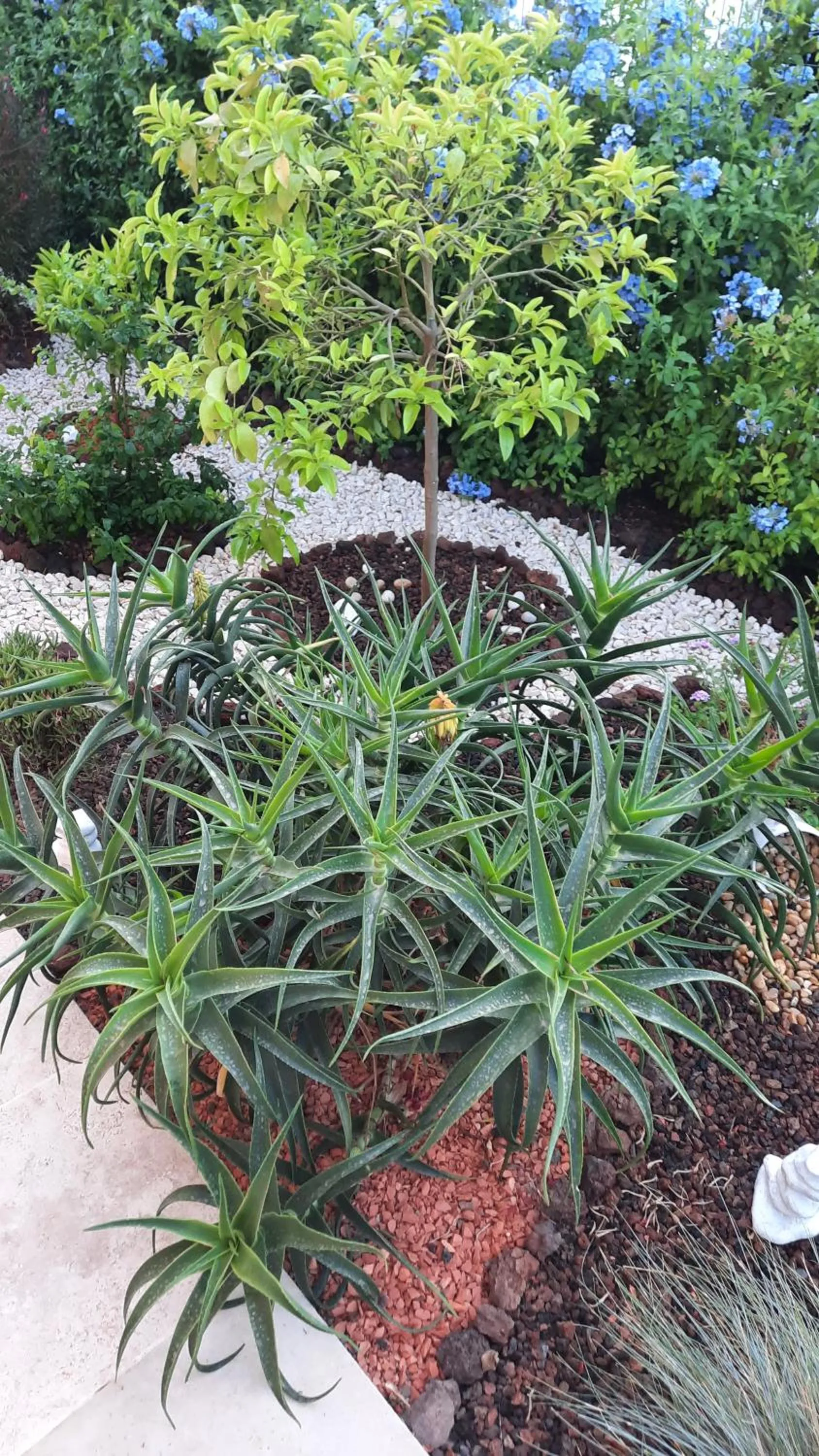 Chambre d'hôtes dans Villa Diane
