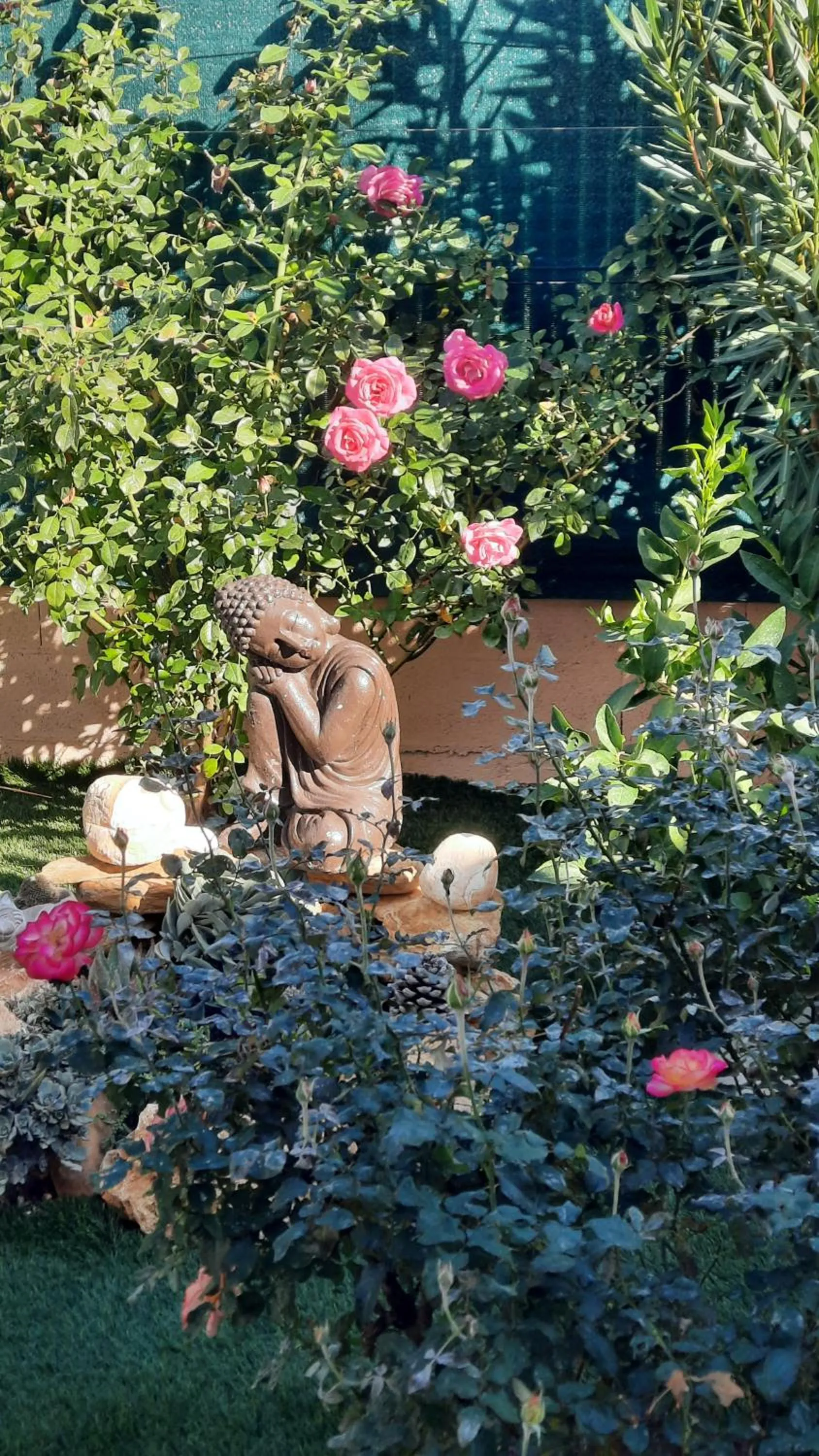 Chambre d'hôtes dans Villa Diane