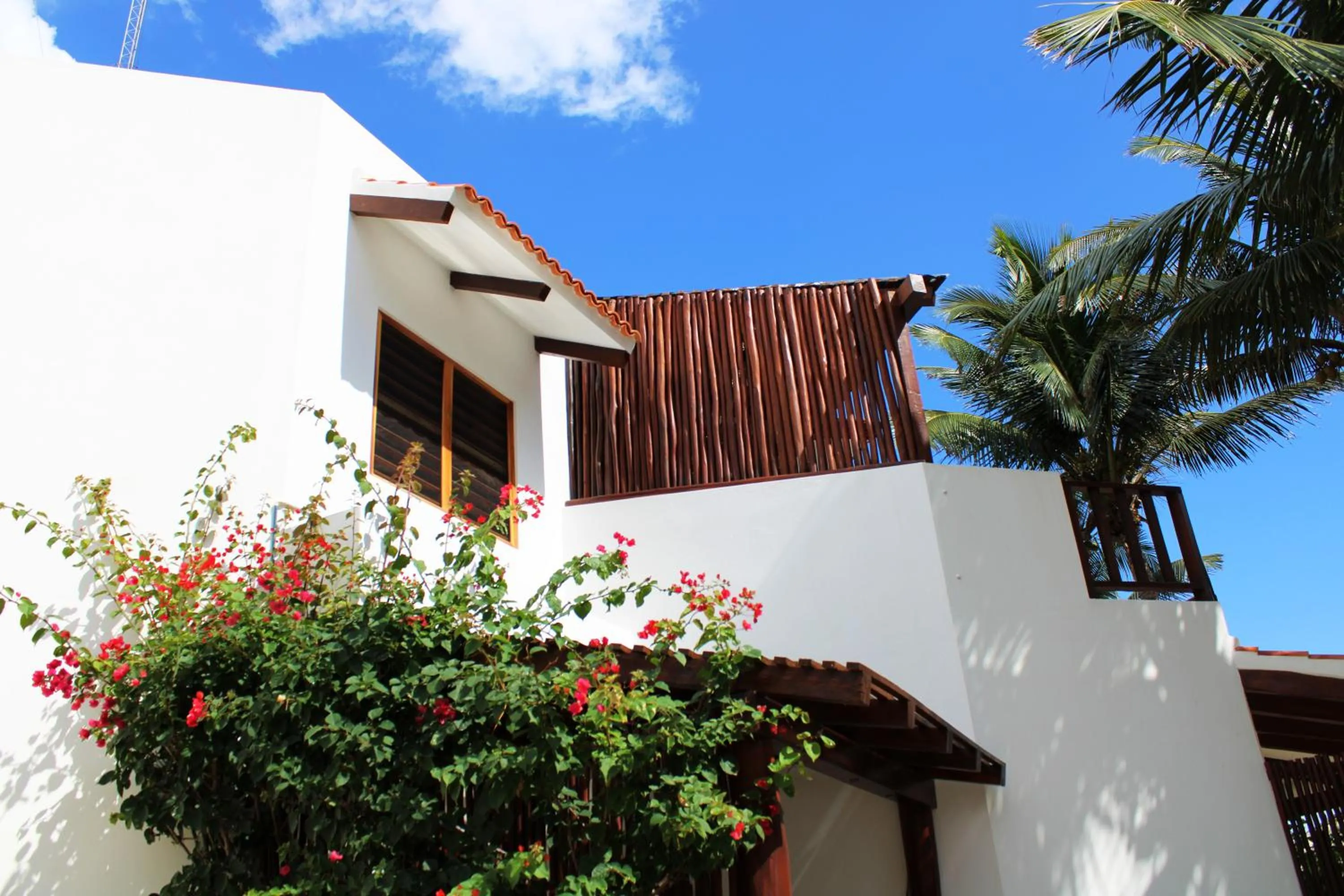 Property building in Casa Colibrí Tankah