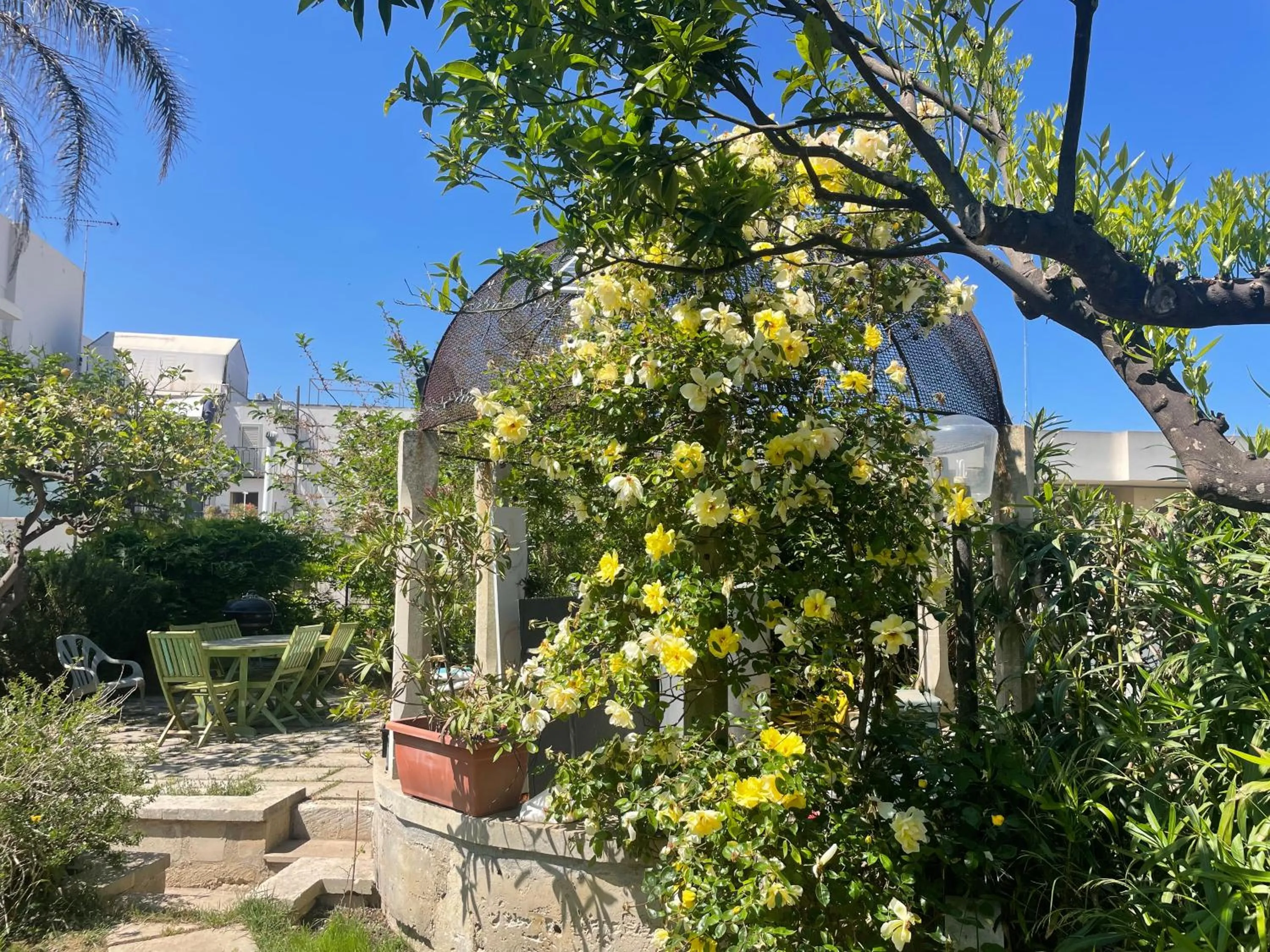 Property building in B&b Ophelia