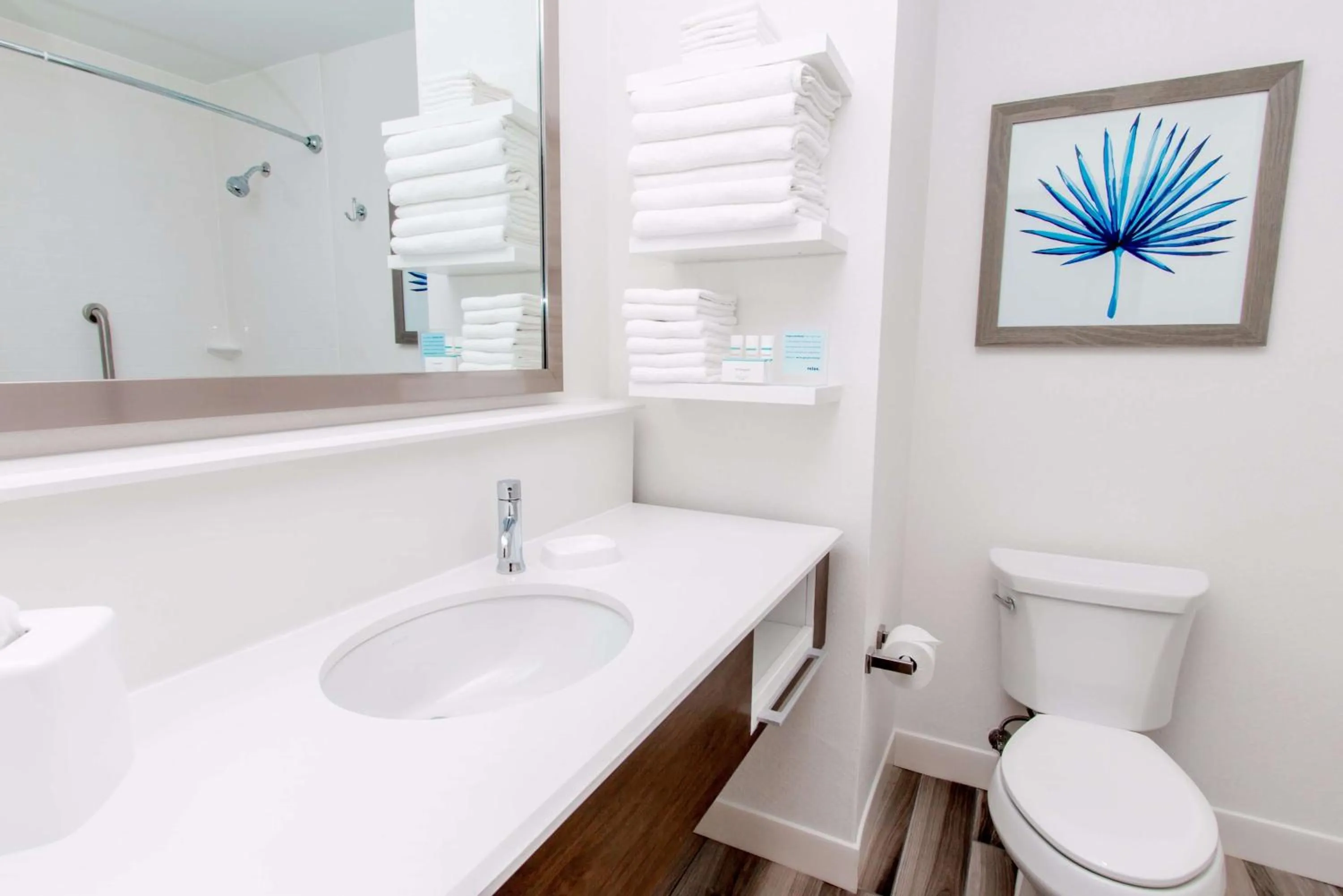 Bathroom in Hampton Inn & Suites Panama City Beach-Beachfront