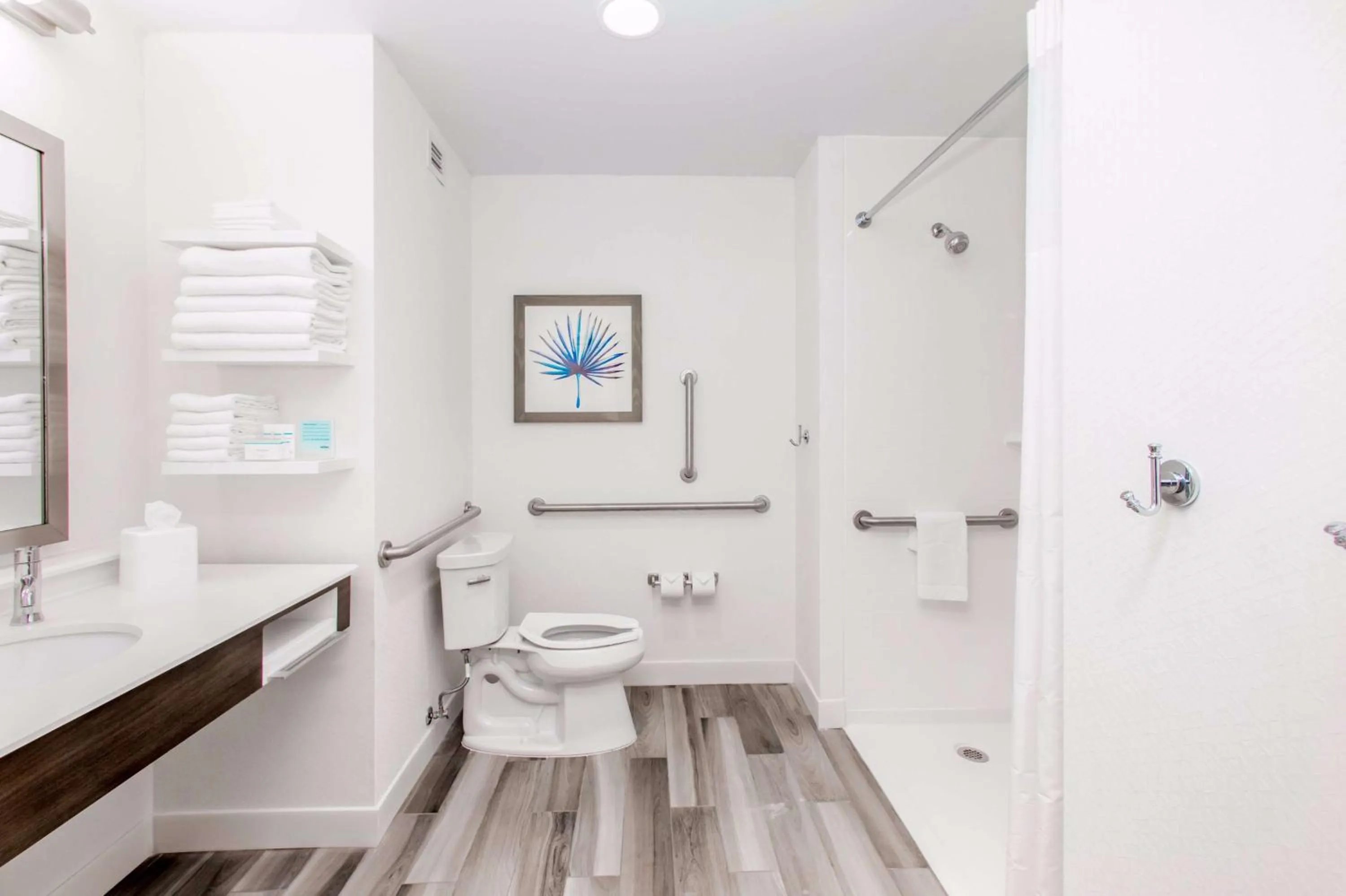 Bathroom in Hampton Inn & Suites Panama City Beach-Beachfront