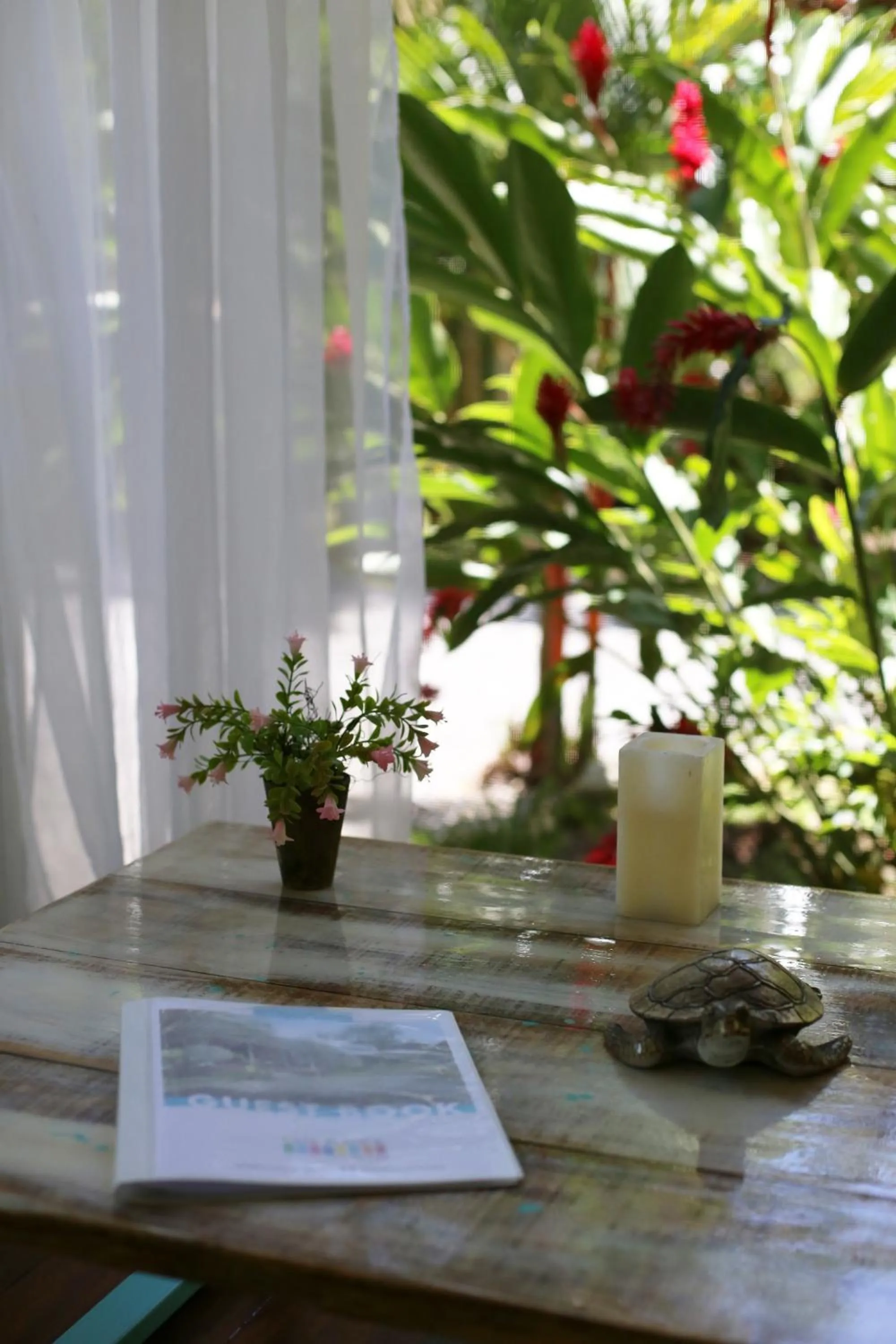 Garden in Ojochal Gardens