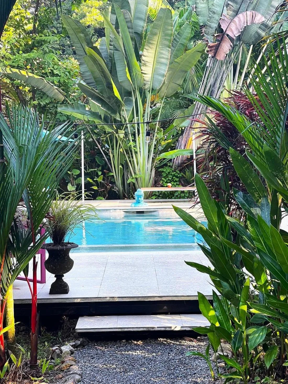 Swimming pool in Ojochal Gardens