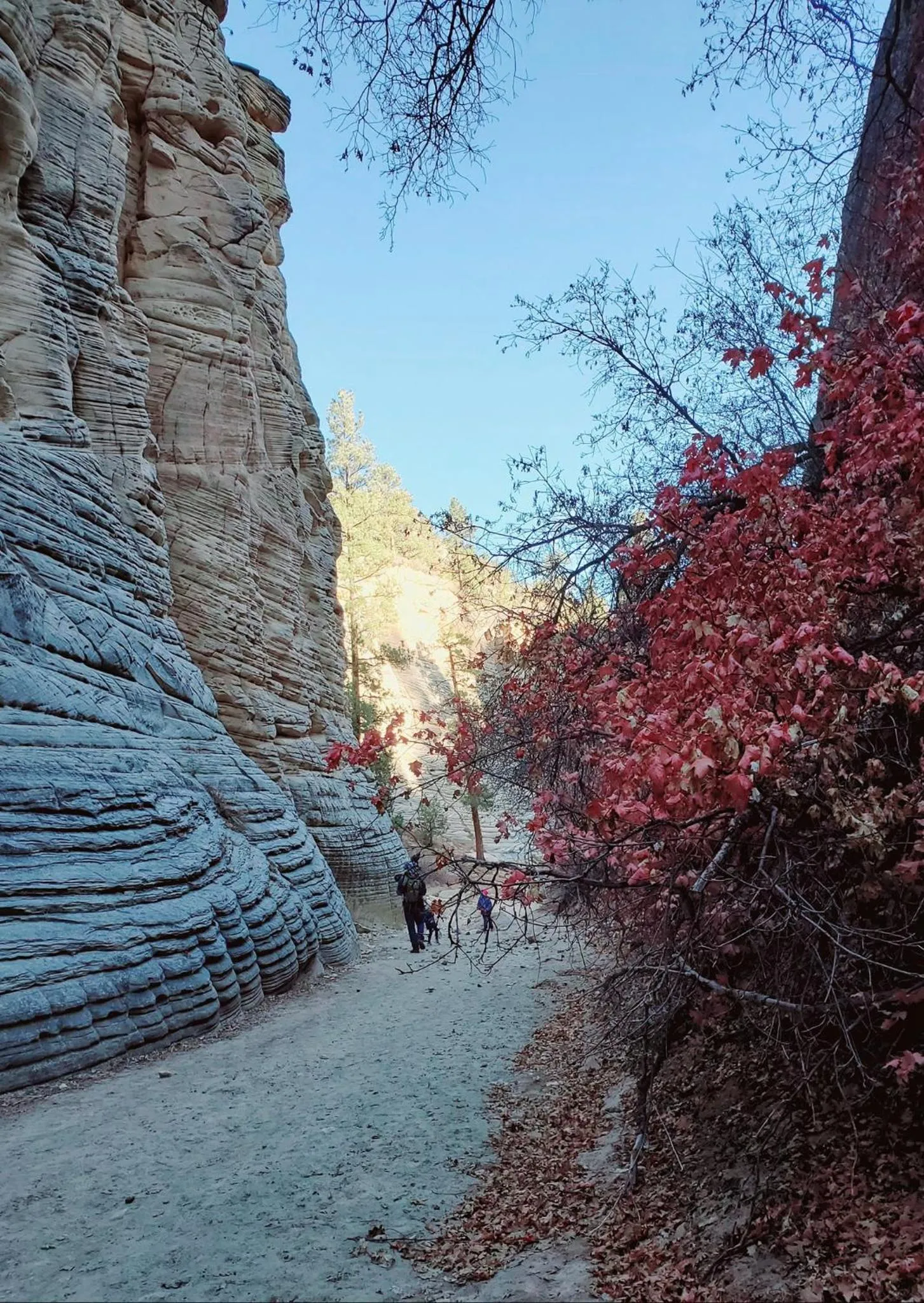 Activities in Kanab Suites