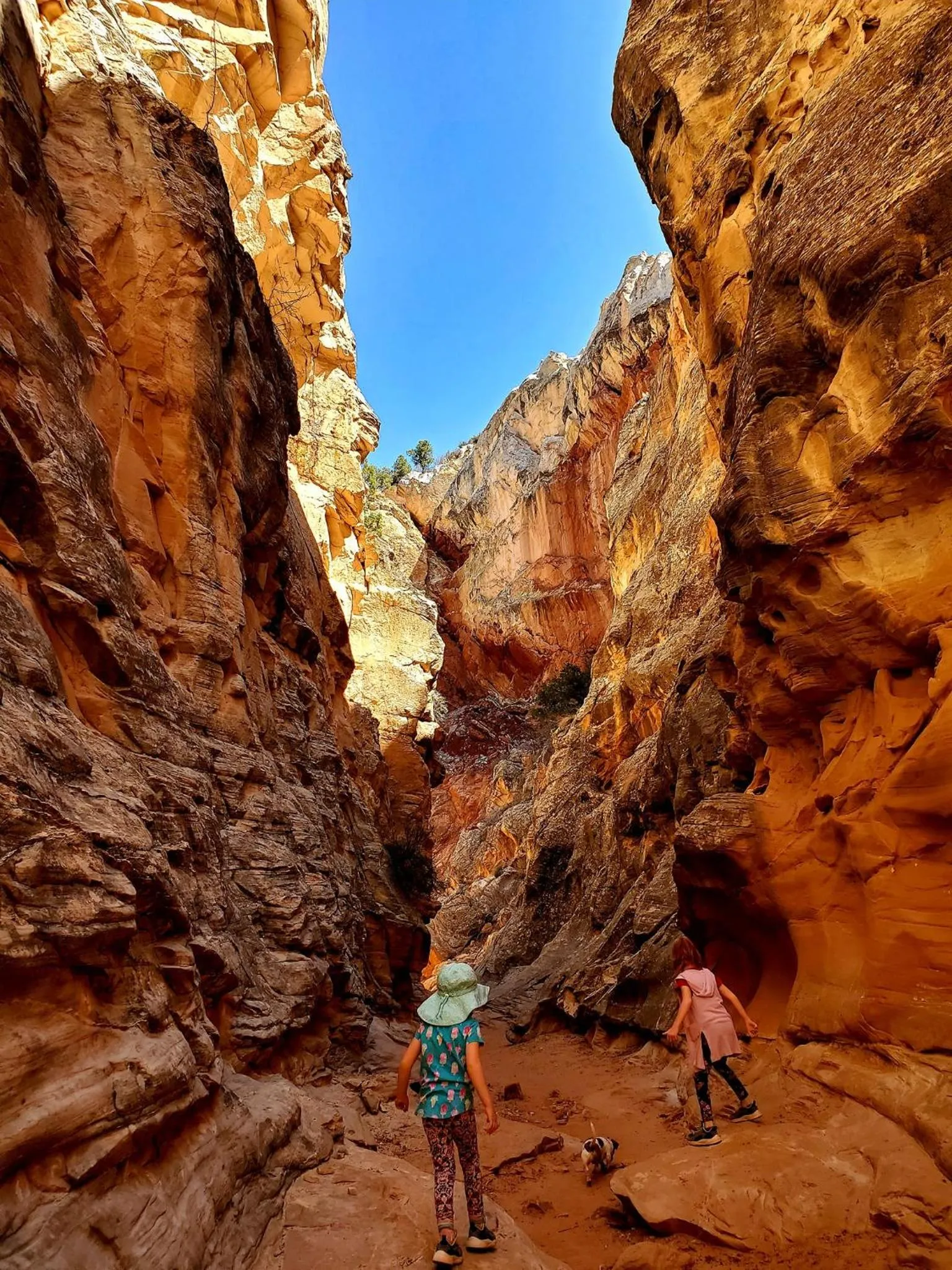 Activities in Kanab Suites