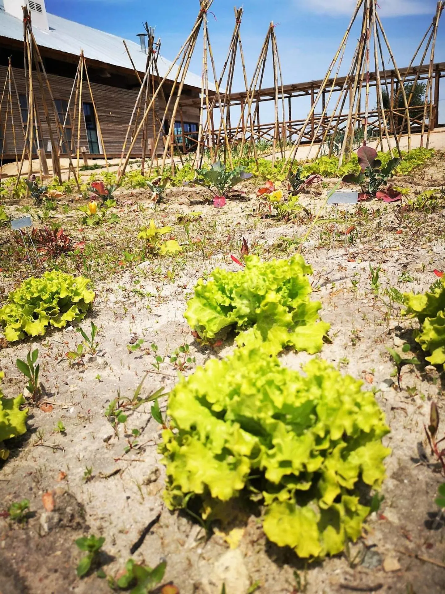 Quinta Da Comporta - Wellness Boutique Resort