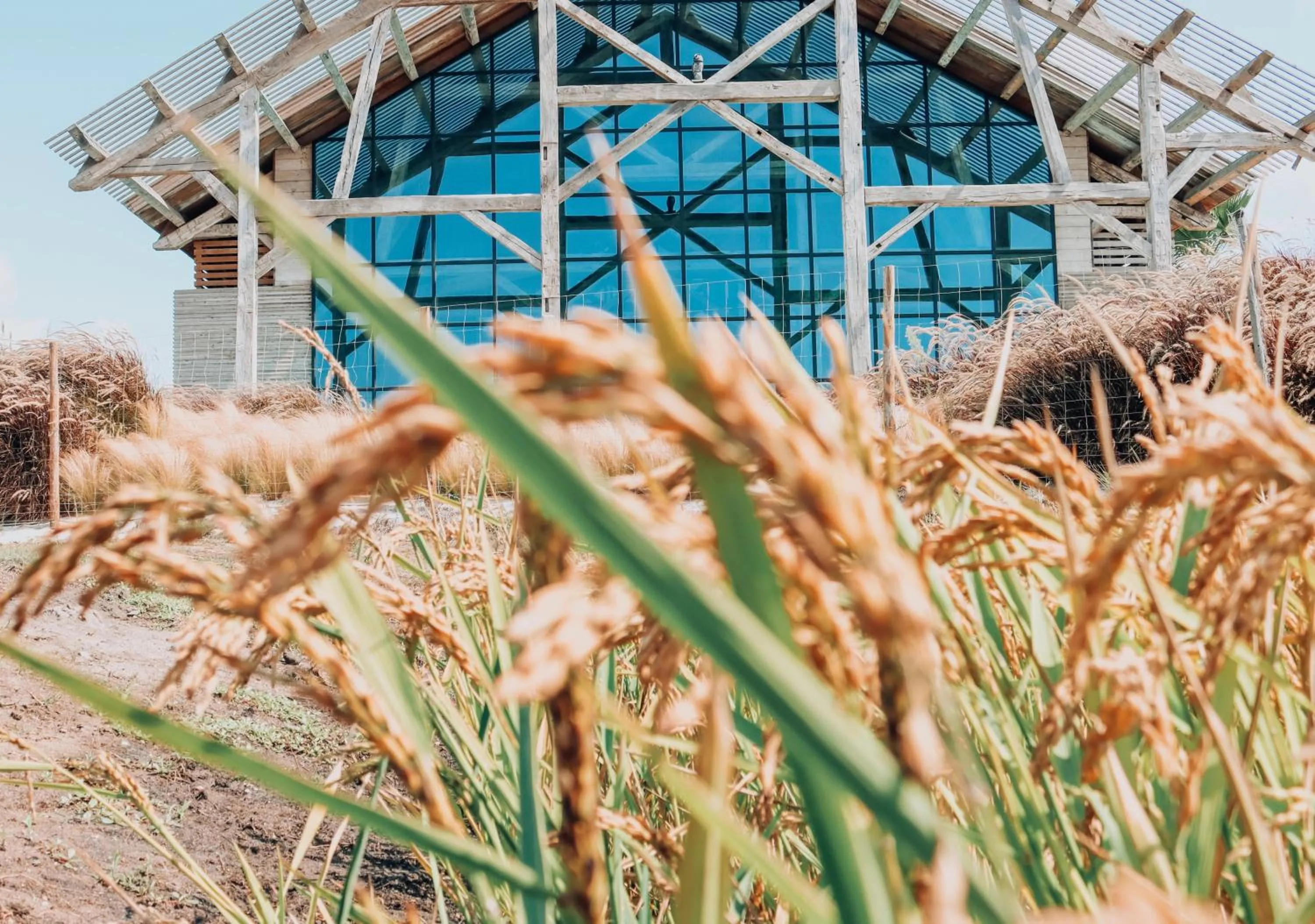 Garden in Quinta Da Comporta - Wellness Boutique Resort