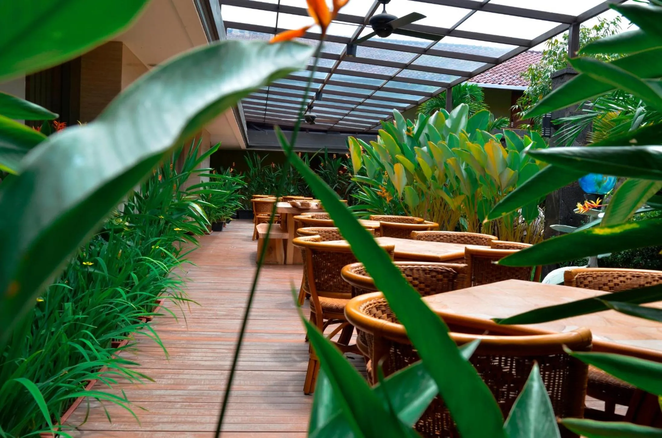 Patio in HOTEL ASRI CIREBON