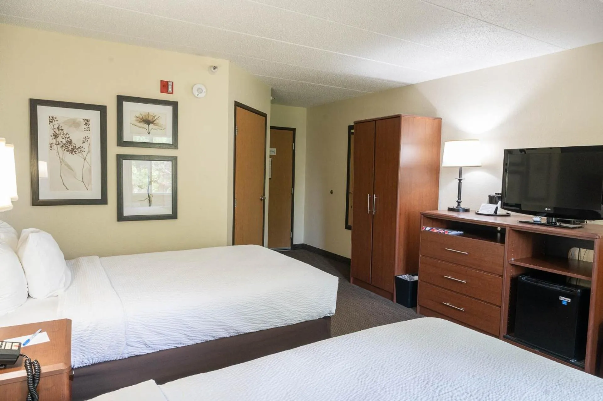 Bed in AmericInn by Wyndham Red Wing