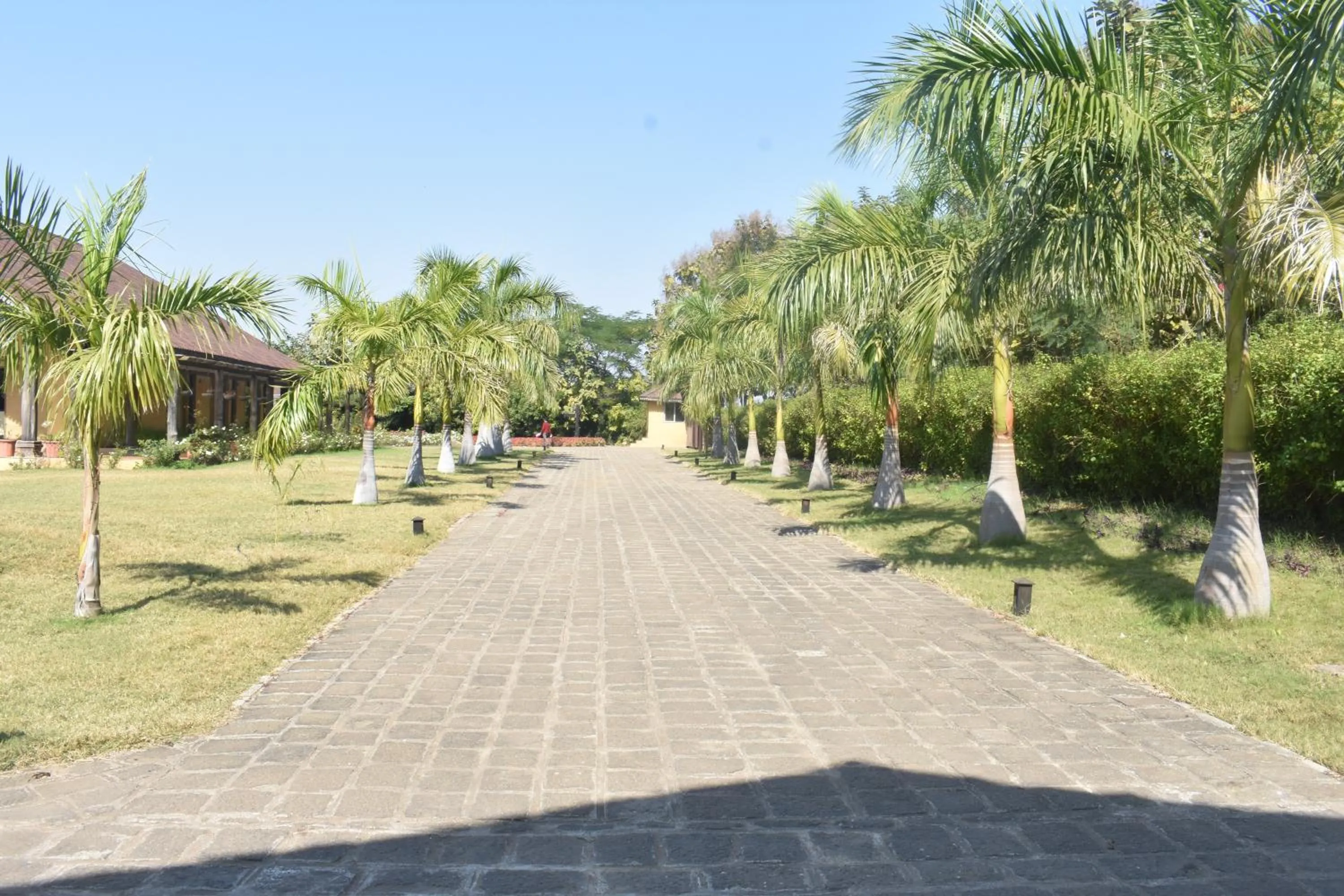 Garden in WelcomHeritage Tadoba Vanya Villas Resort & Spa