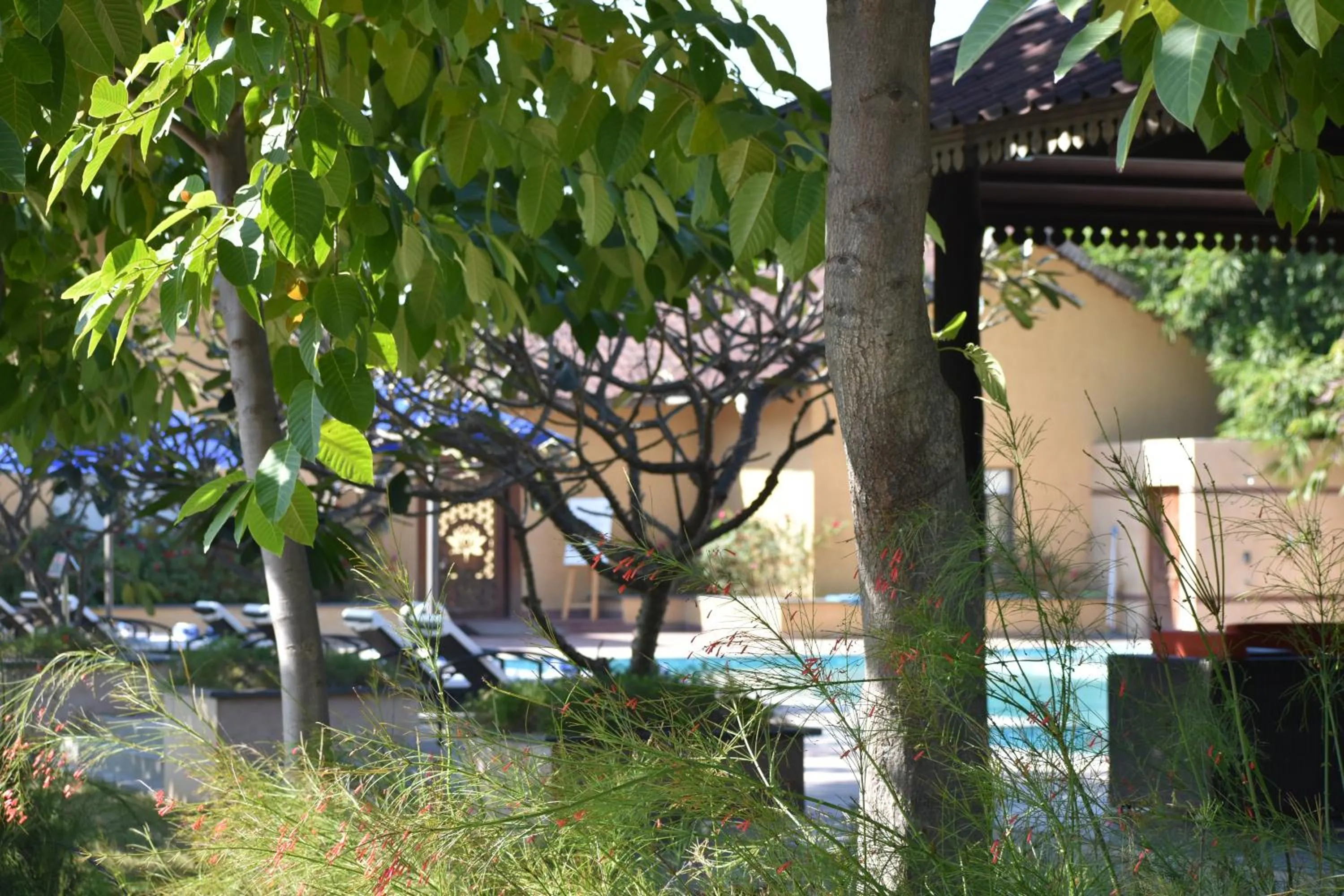 Garden in WelcomHeritage Tadoba Vanya Villas Resort & Spa