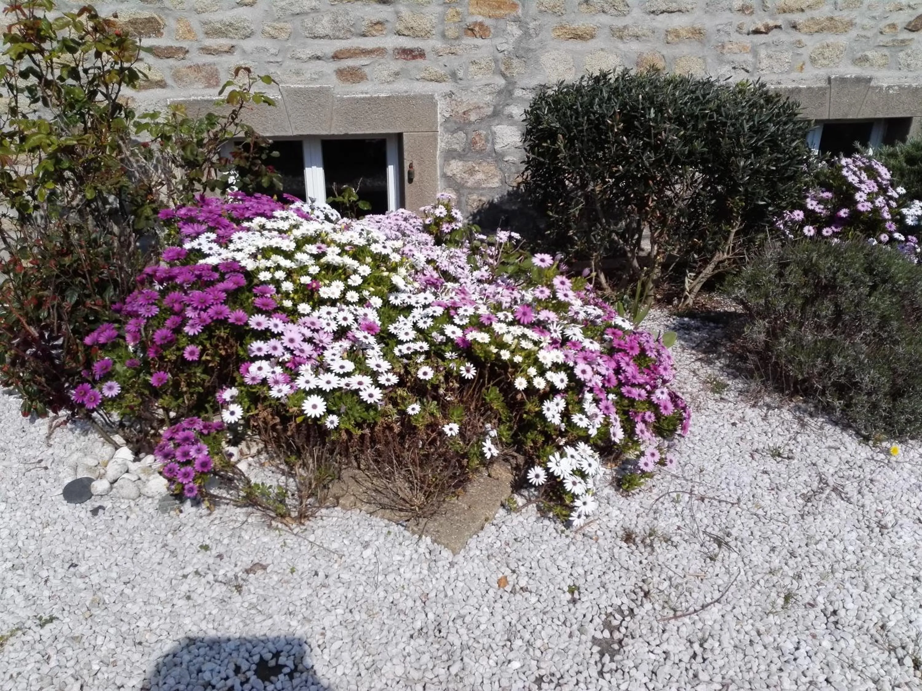 Decorative detail in Izella