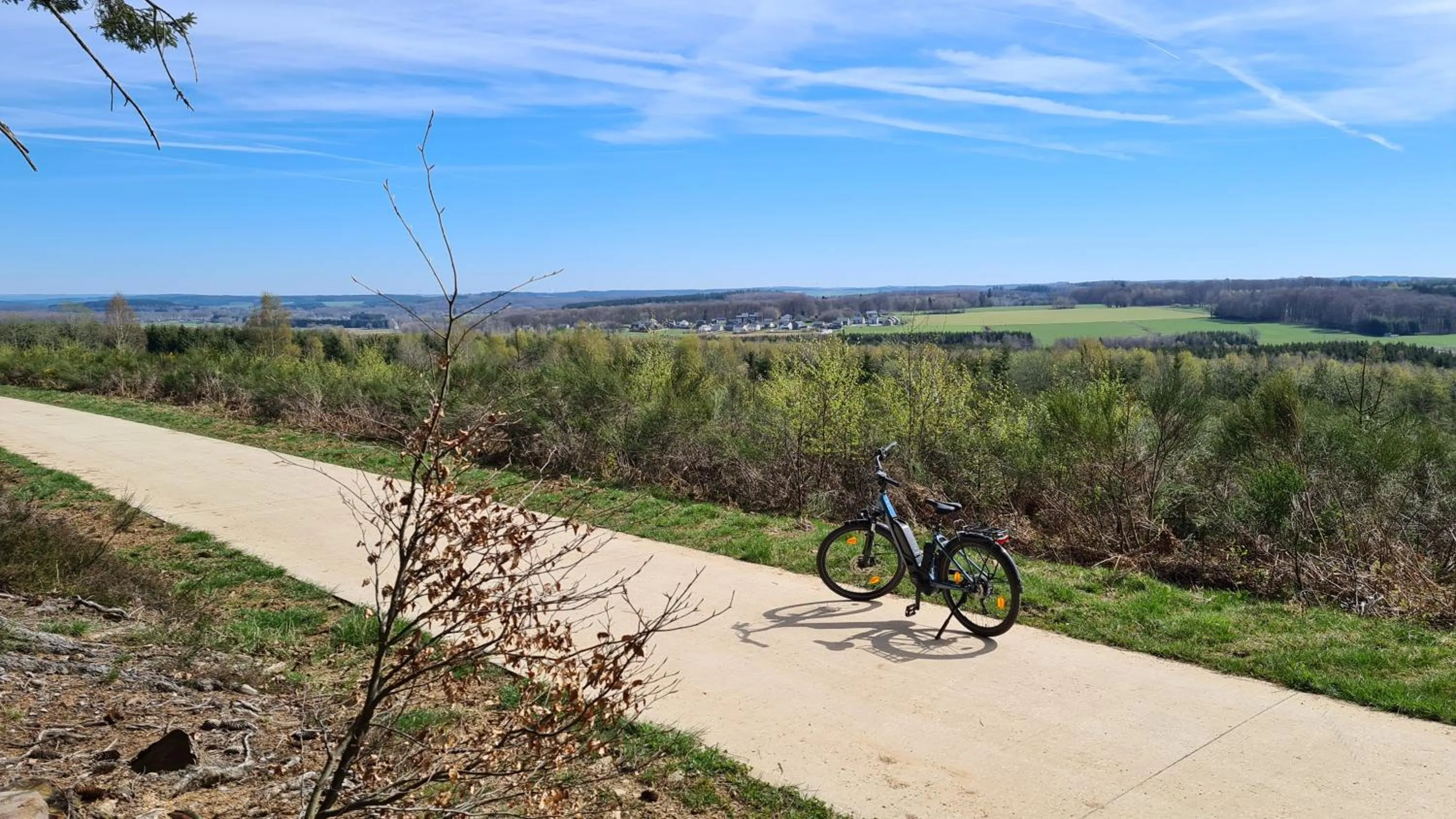 Cycling in HOTEL L'AVENUE