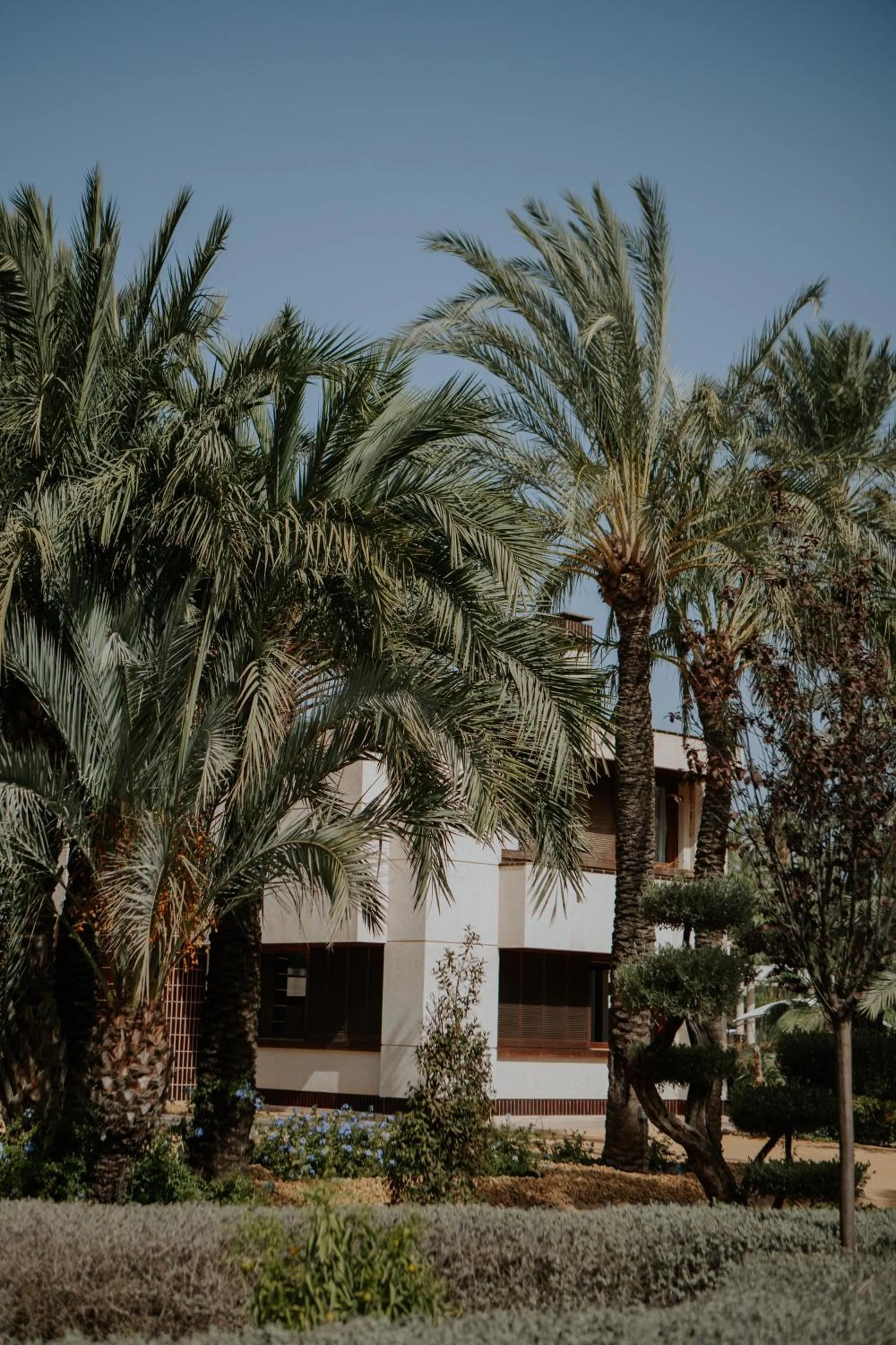 Garden in Hotel Boutique Hort de Nal