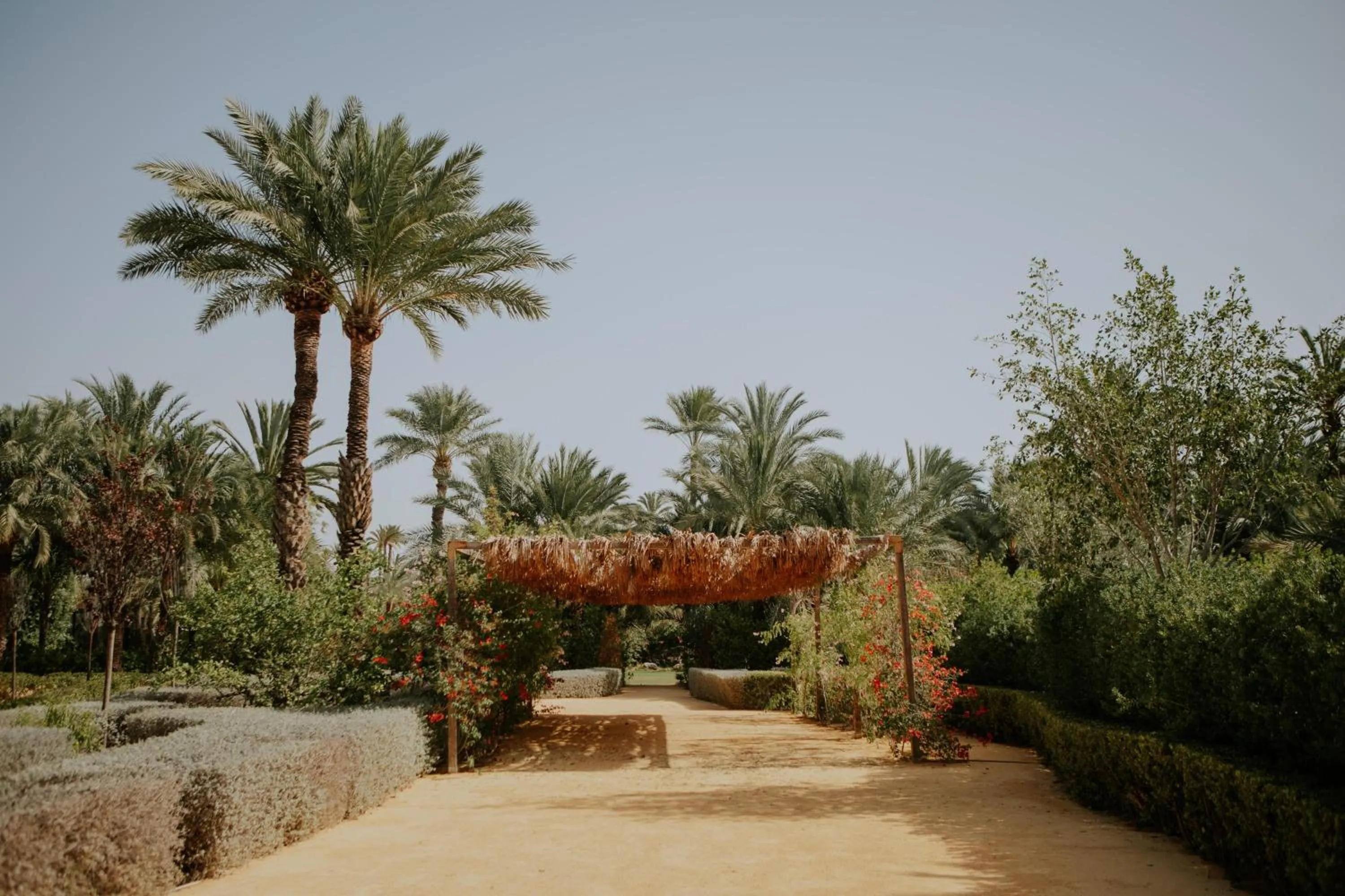 Garden in Hotel Boutique Hort de Nal