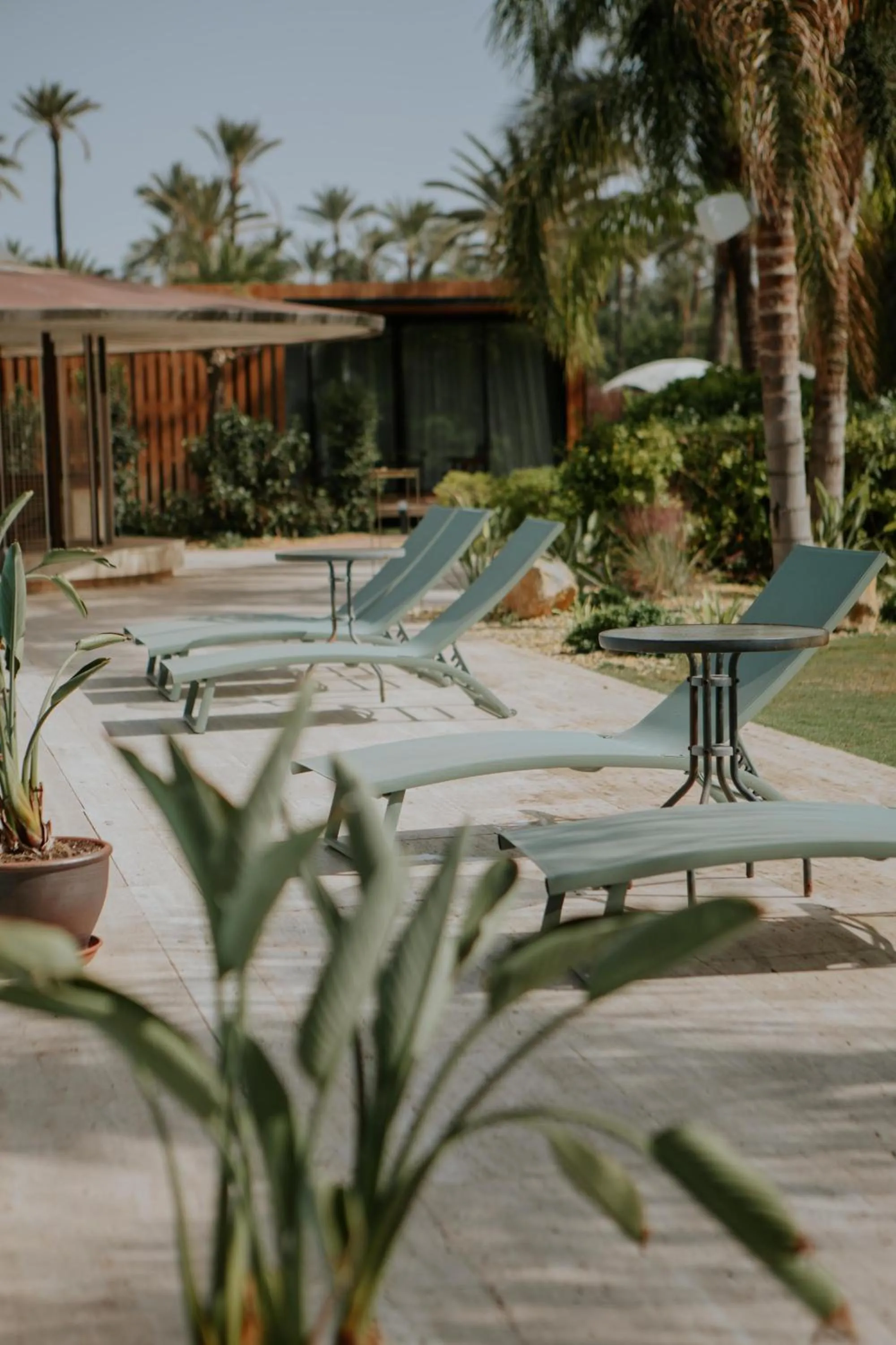 Balcony/Terrace in Hotel Boutique Hort de Nal