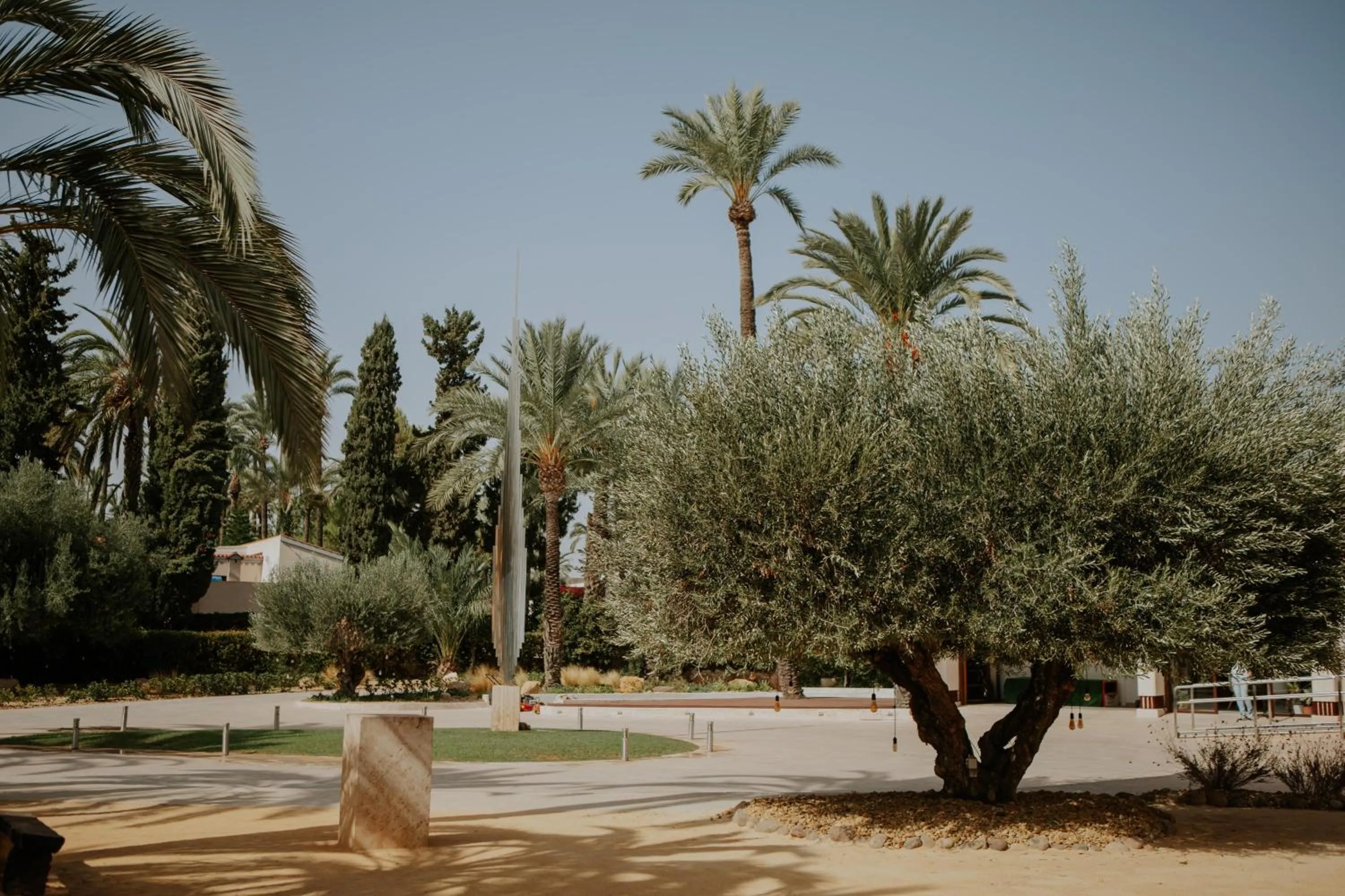 Garden in Hotel Boutique Hort de Nal