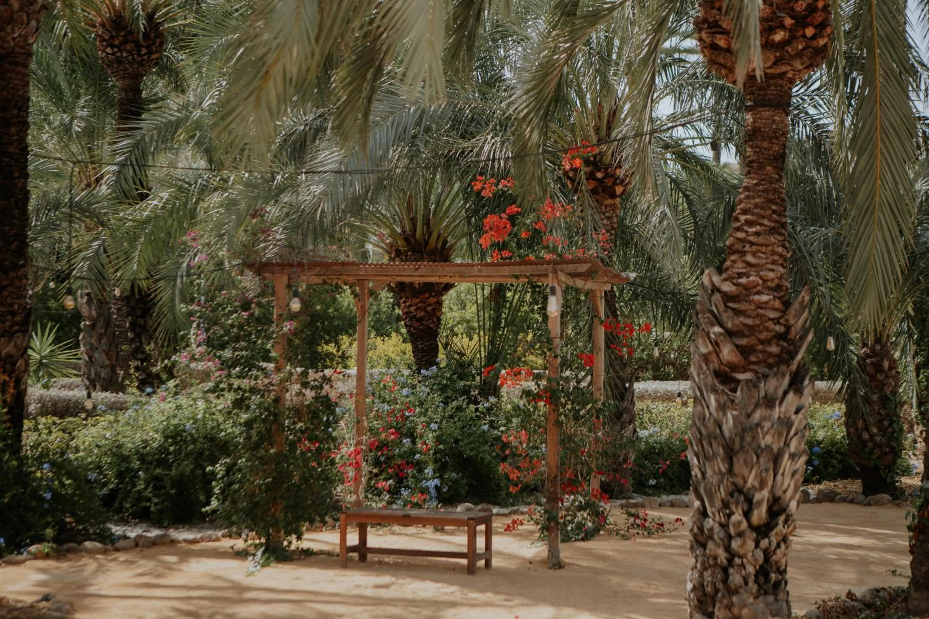 Balcony/Terrace in Hotel Boutique Hort de Nal