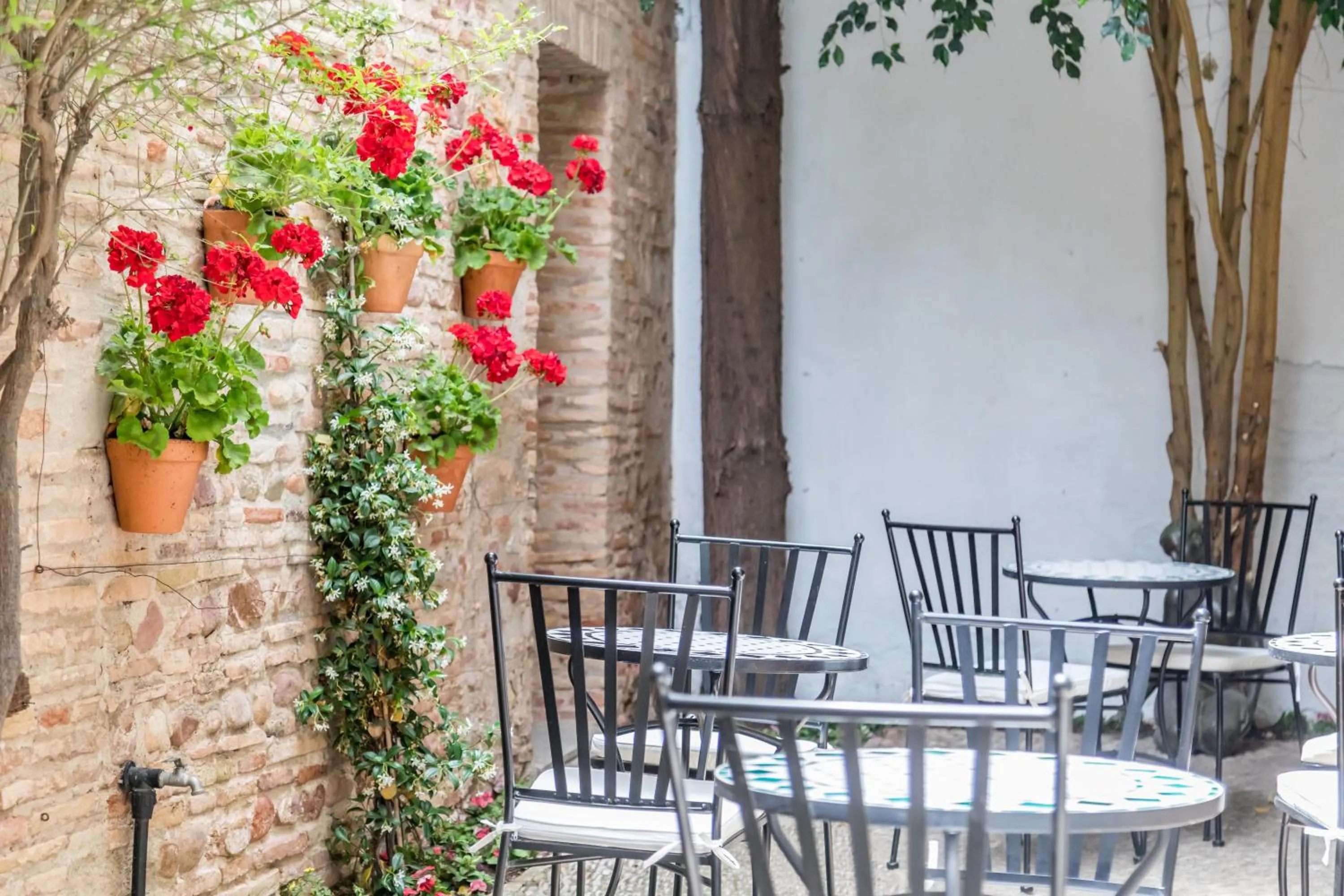Patio in Alquería Calatrava B&B