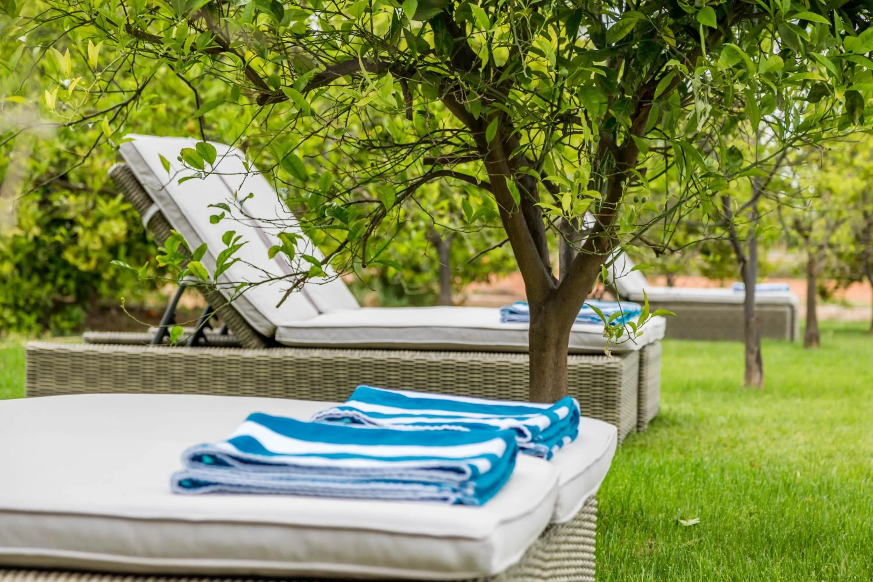 Garden in Alquería Calatrava B&B