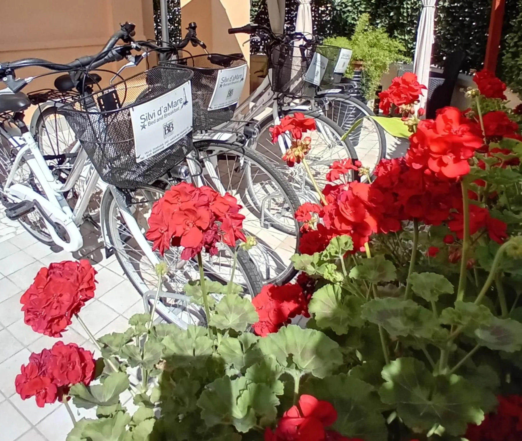 Cycling in Silvi d'aMare