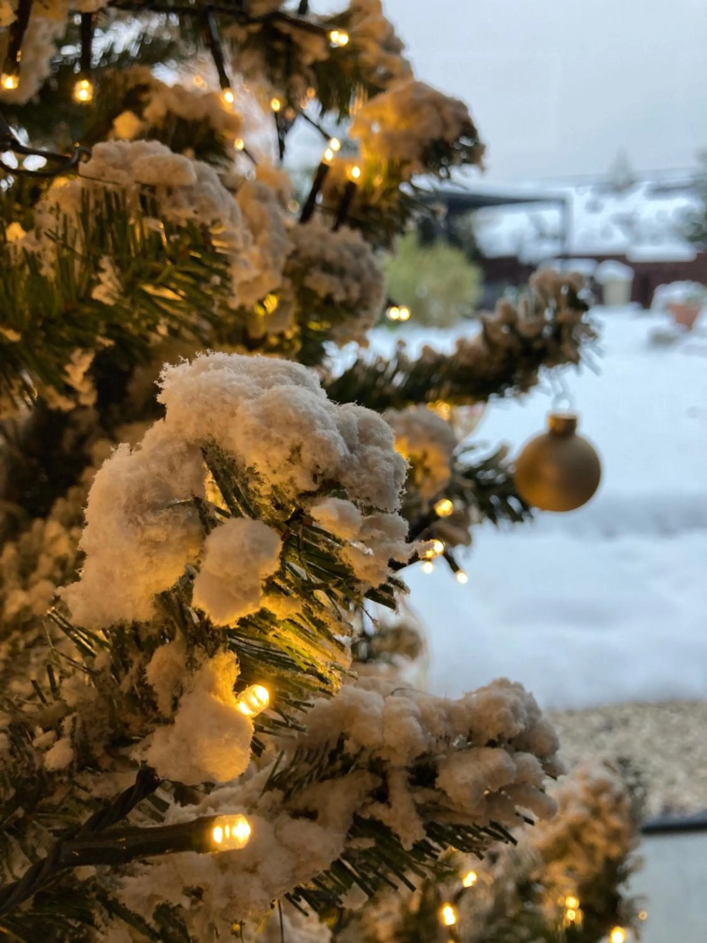 VILLA BRICOLA - Boutique Apartments