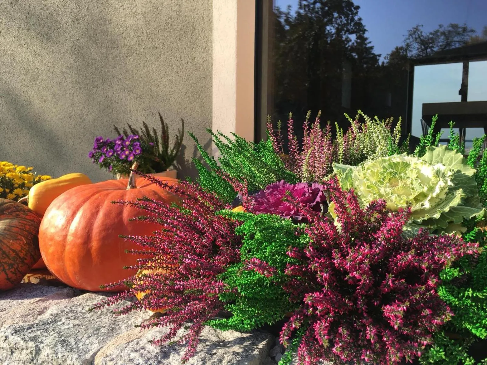 Garden in VILLA BRICOLA - Boutique Apartments