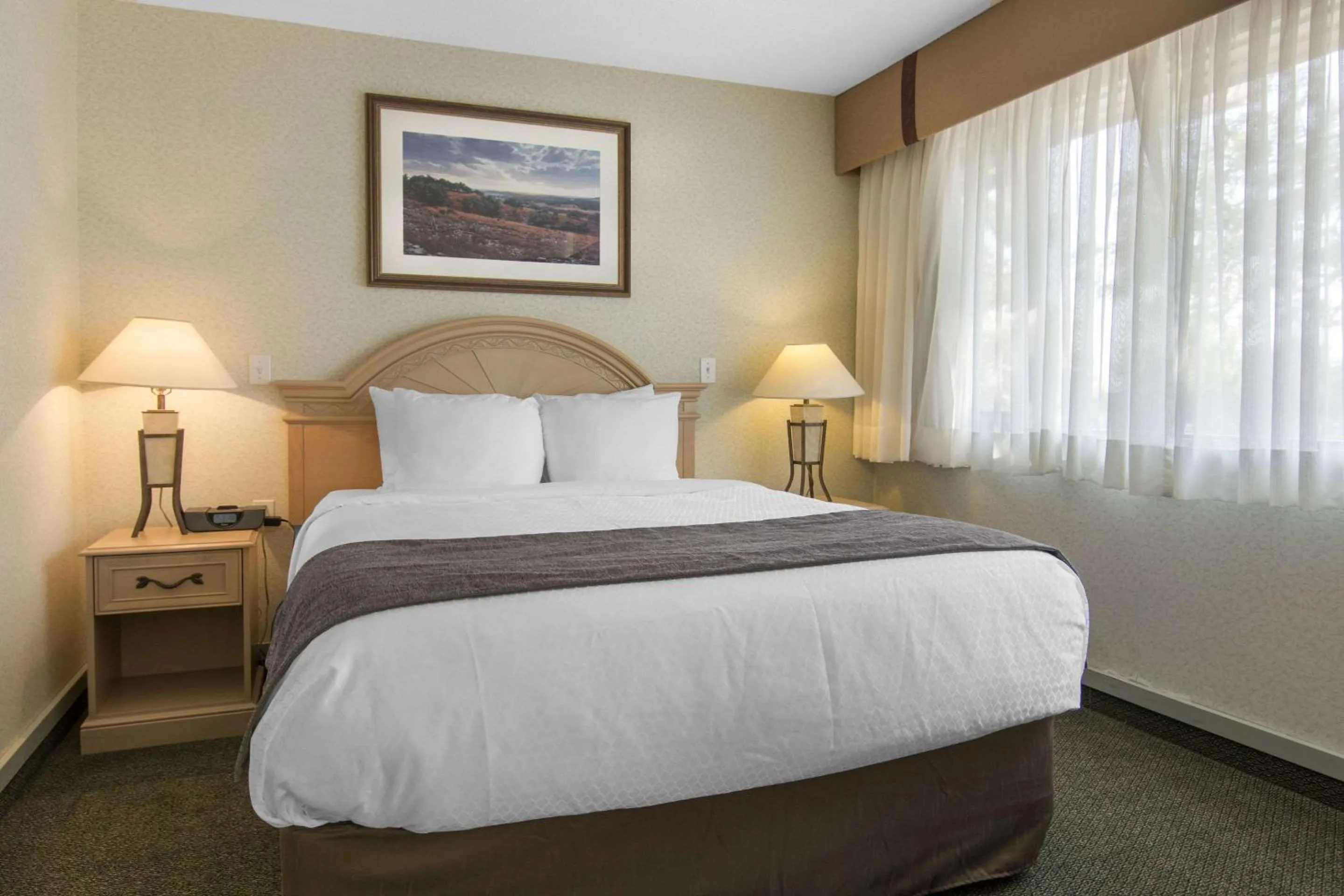 Photo of the whole room, Bed in Quality Inn Medicine Hat