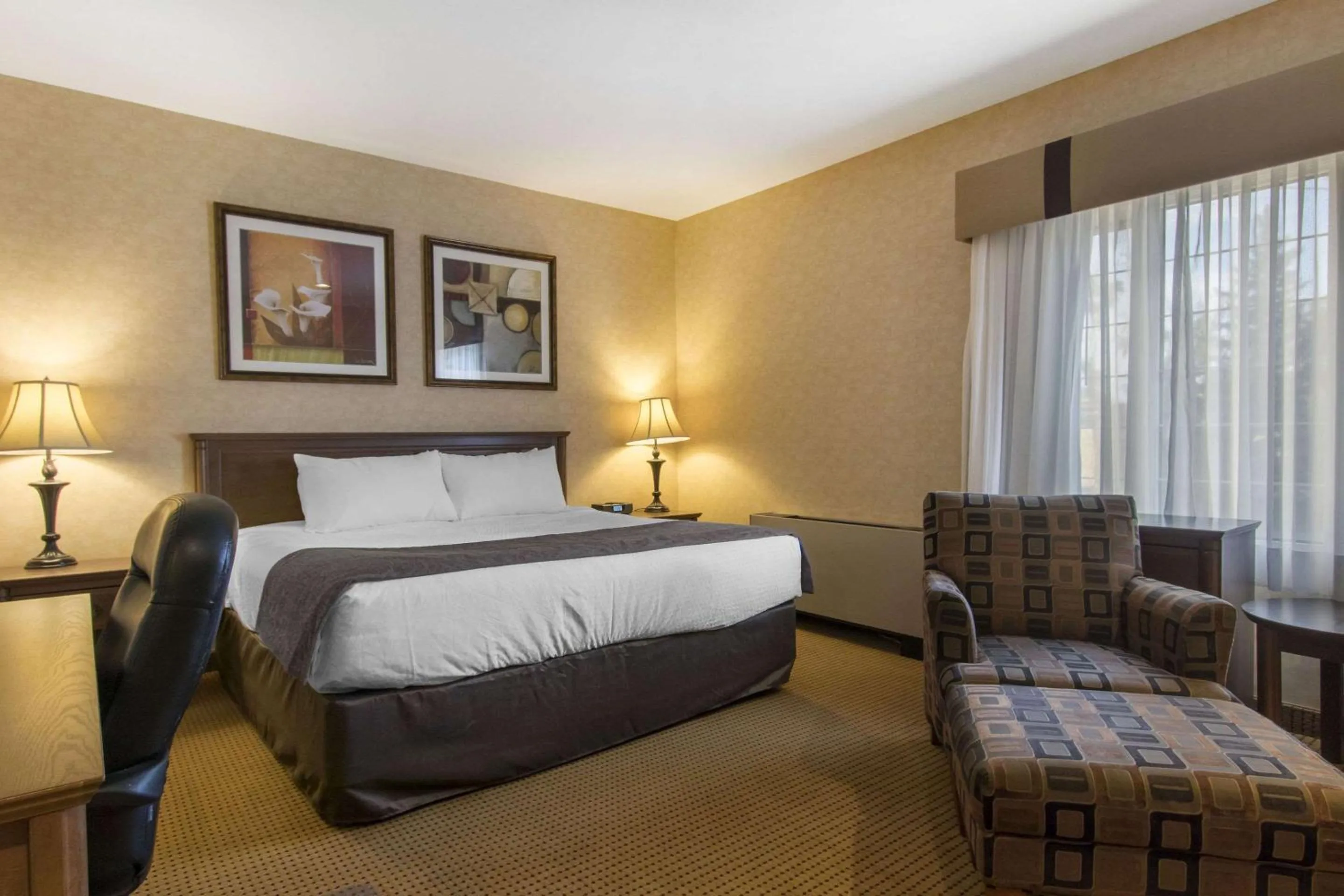 Photo of the whole room, Bed in Quality Inn Medicine Hat