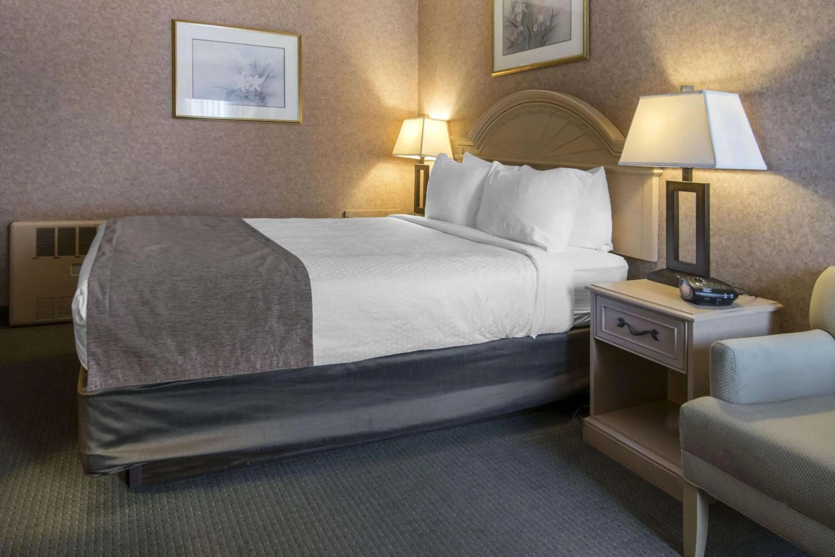 Photo of the whole room, Bed in Quality Inn Medicine Hat