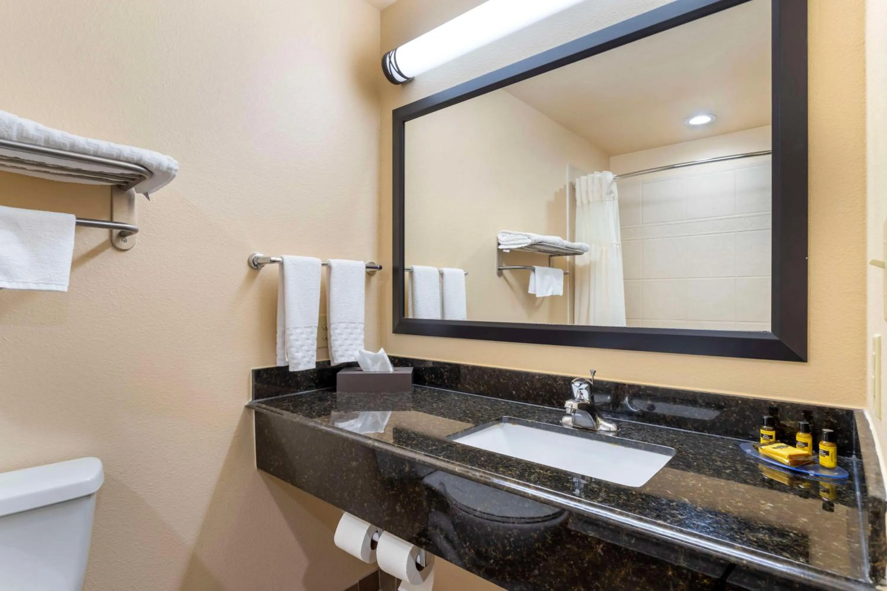 Bathroom in Best Western Plus Goliad Inn & Suites