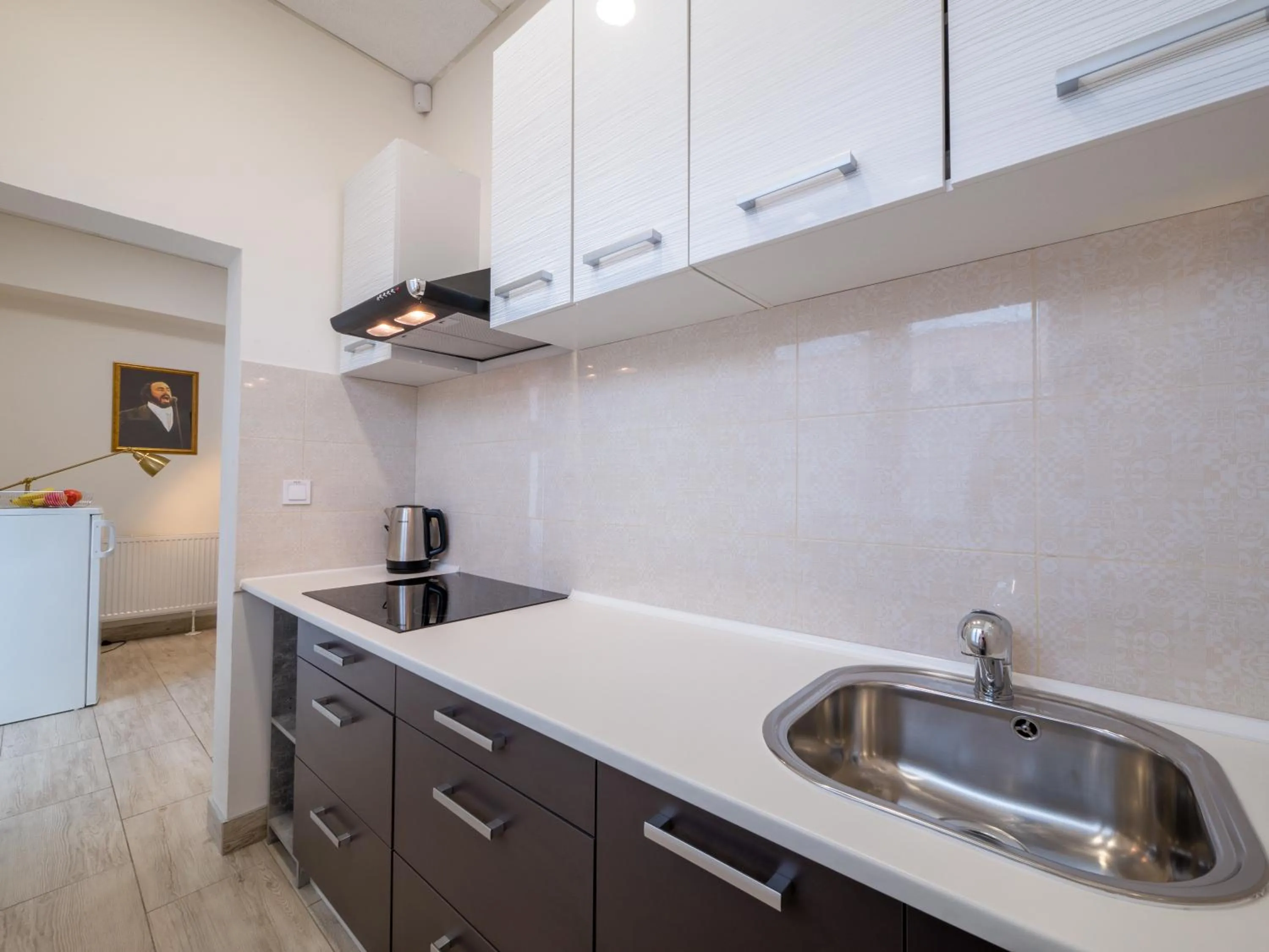 Kitchen or kitchenette in Apartmany Style