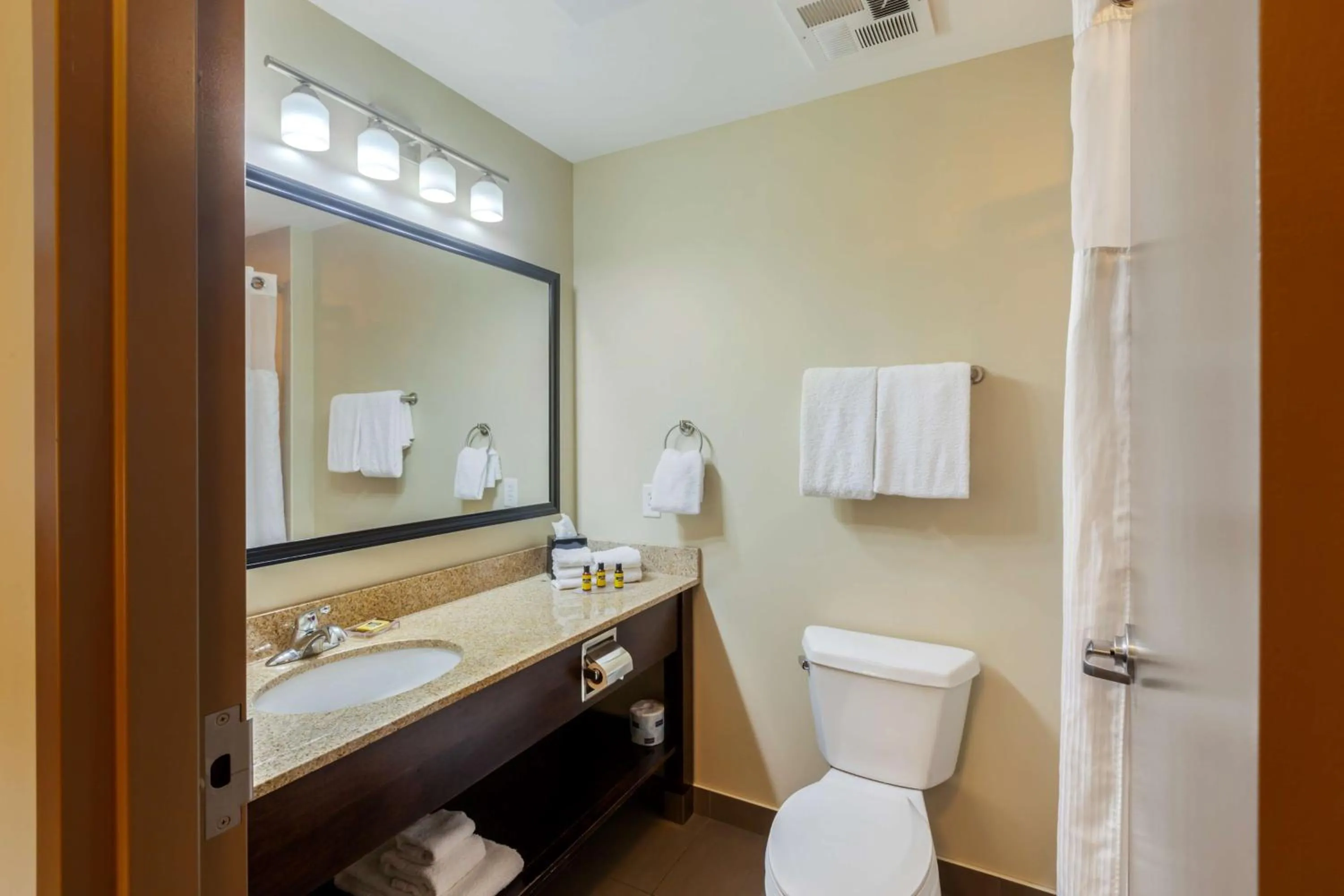 Bathroom in Best Western Plus Walkerton Hotel & Conference Centre
