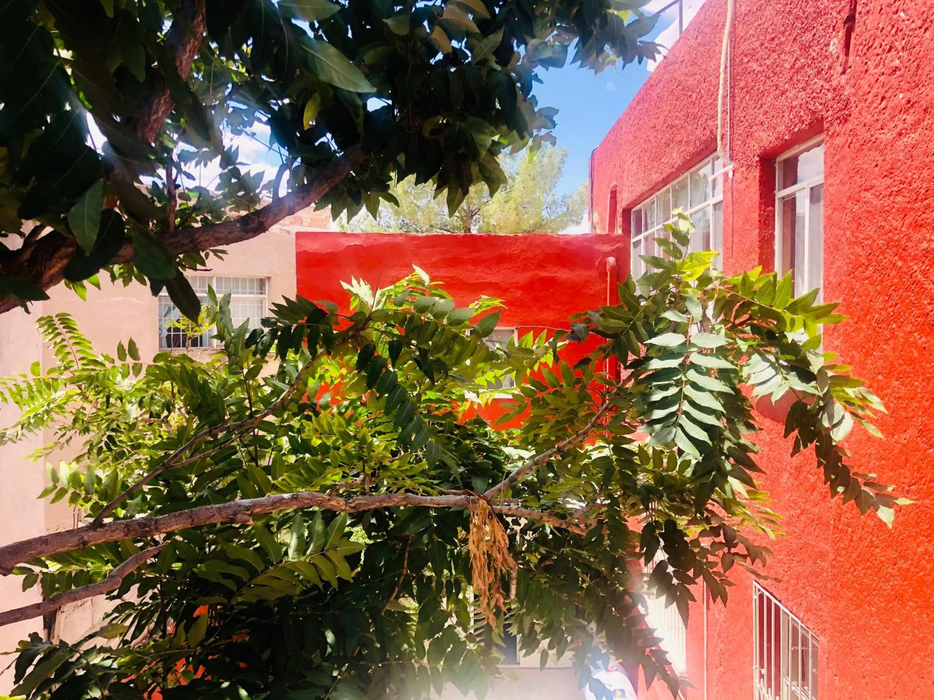 Property building in Hostal Kuira Bá by Rotamundos