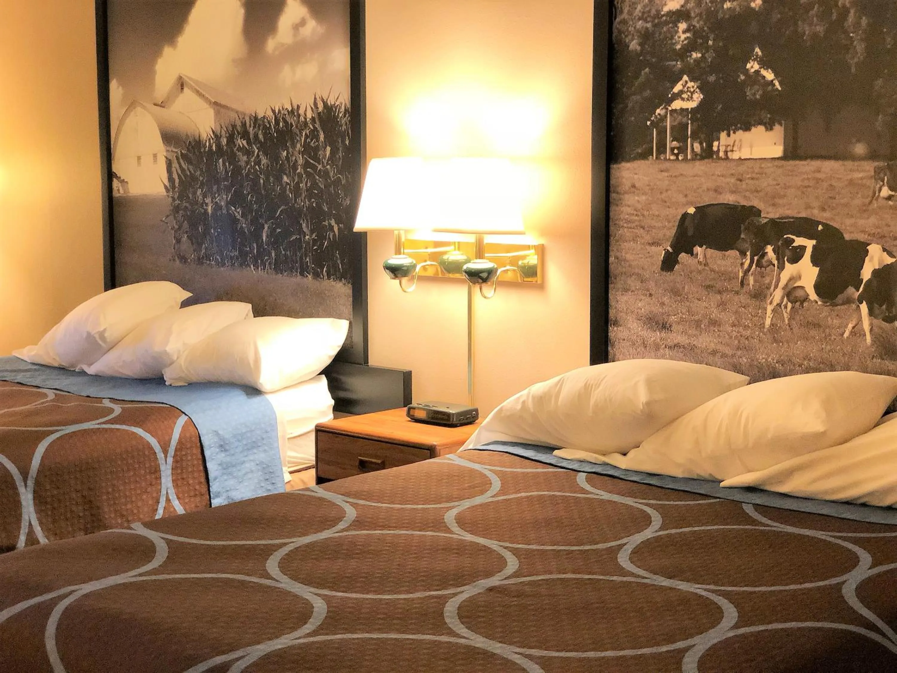 Bed in Super 8 by Wyndham Dodgeville