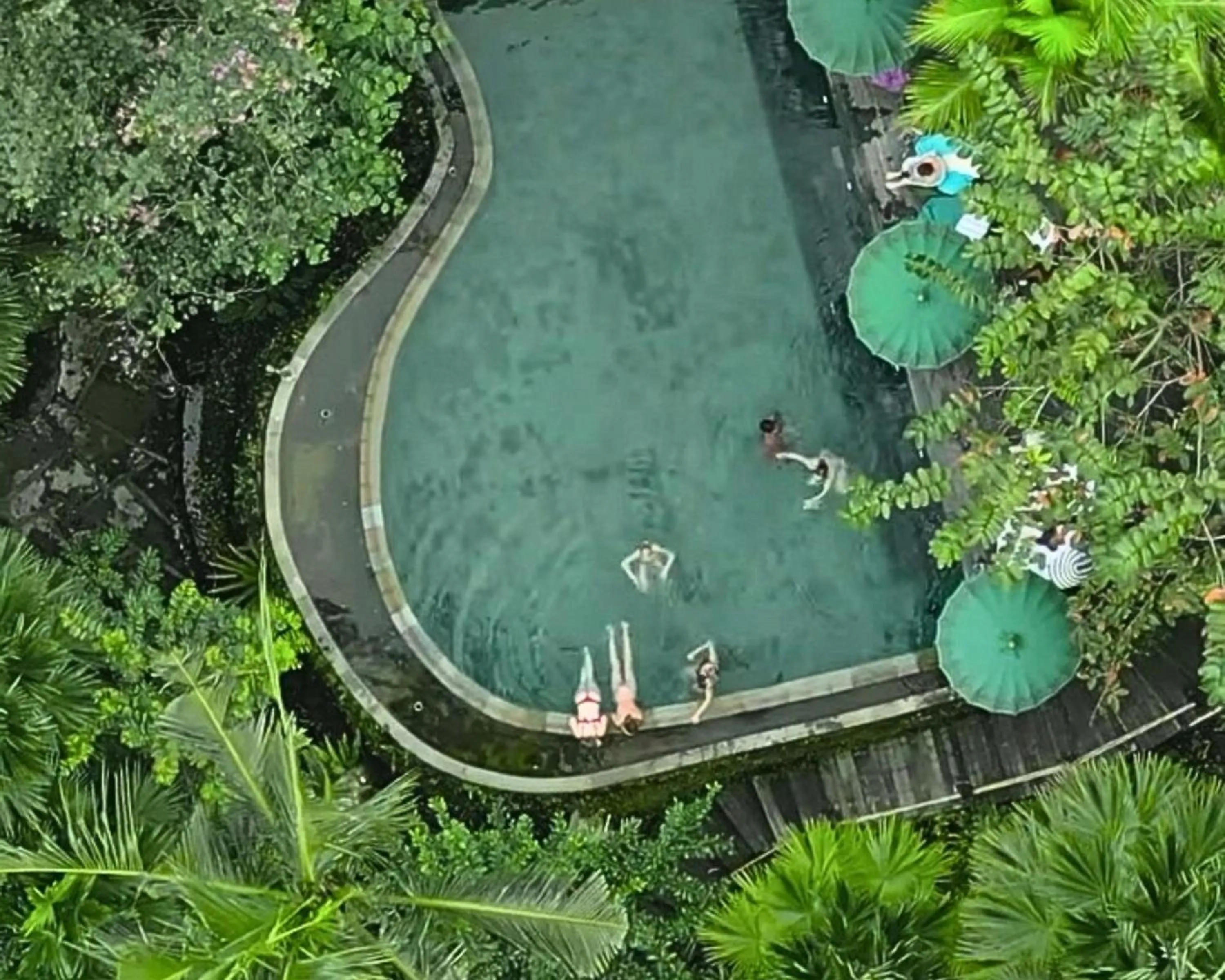 Swimming pool in Menzel Ubud