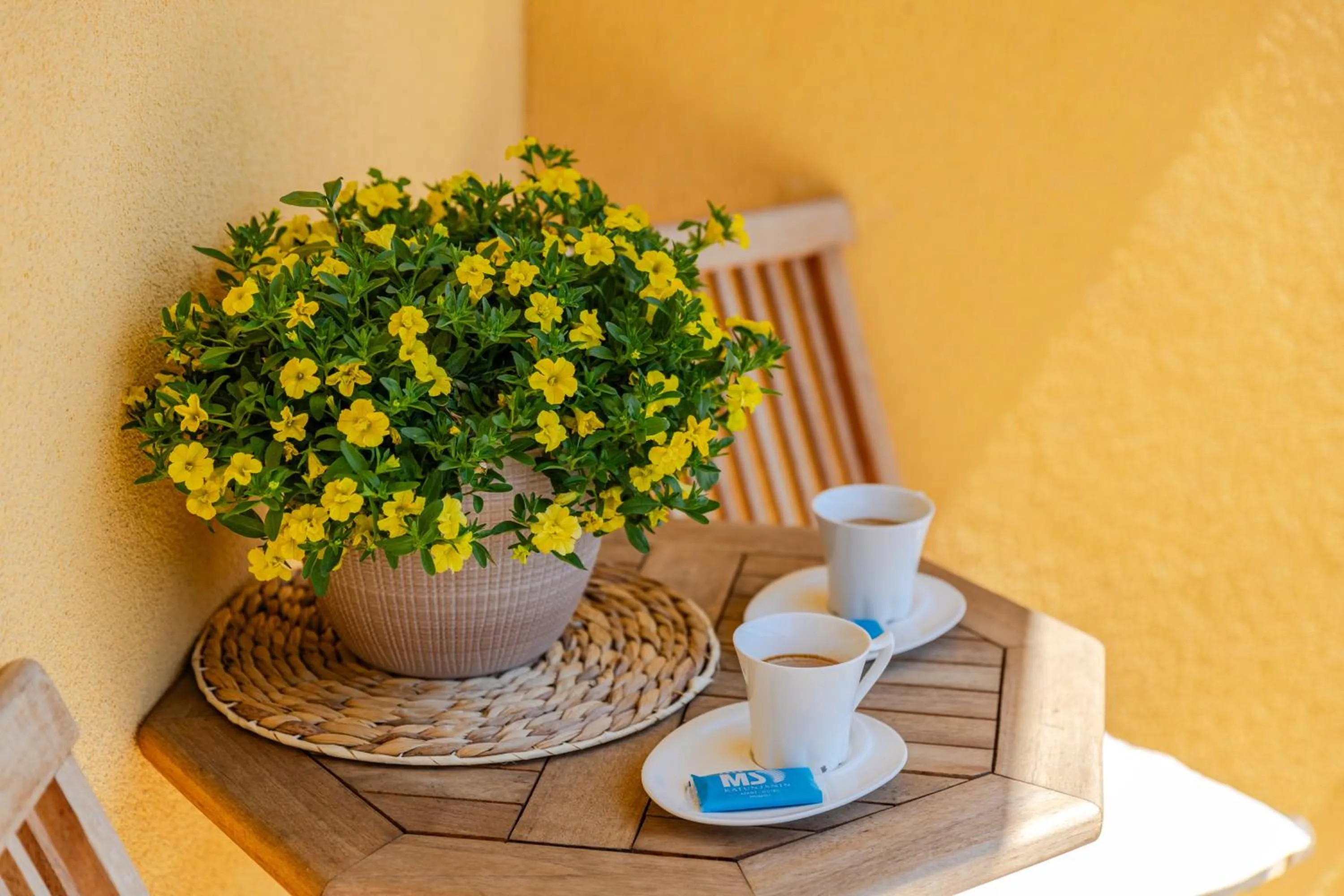 Coffee/tea facilities in Apart hotel M S KATUNJANIN