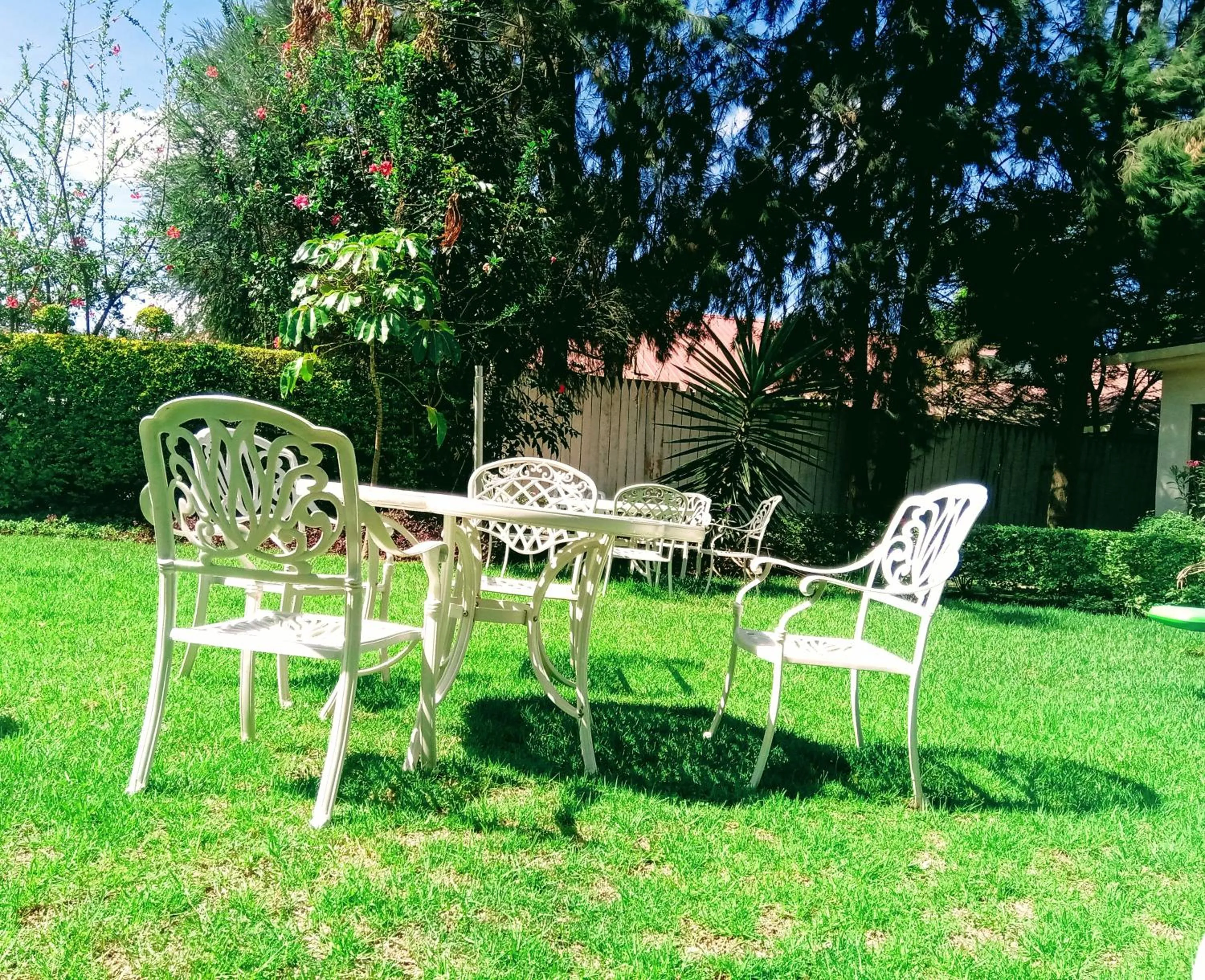 Garden in Falcon Heights Hotel