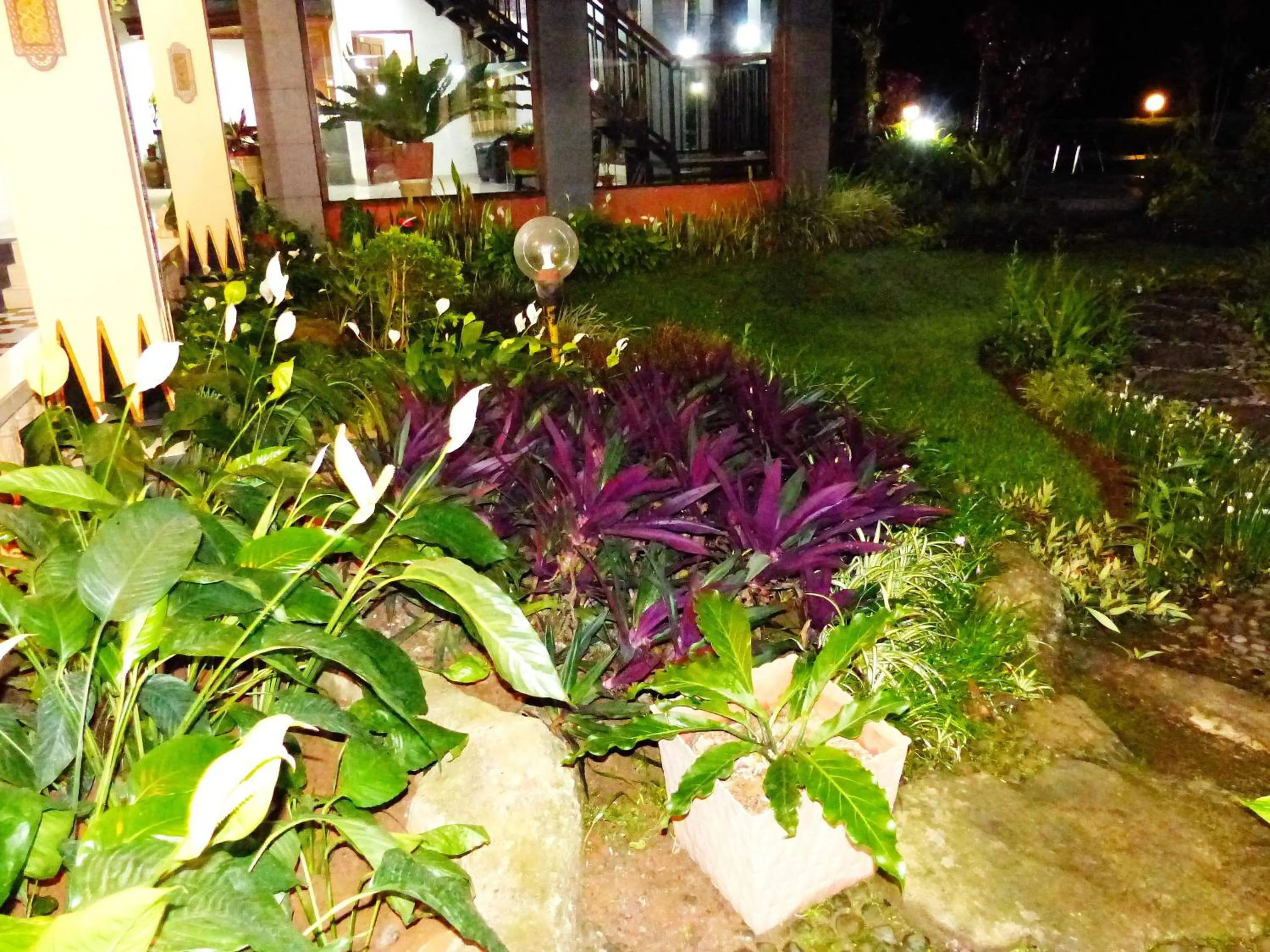 Garden in Toraja Torsina Hotel