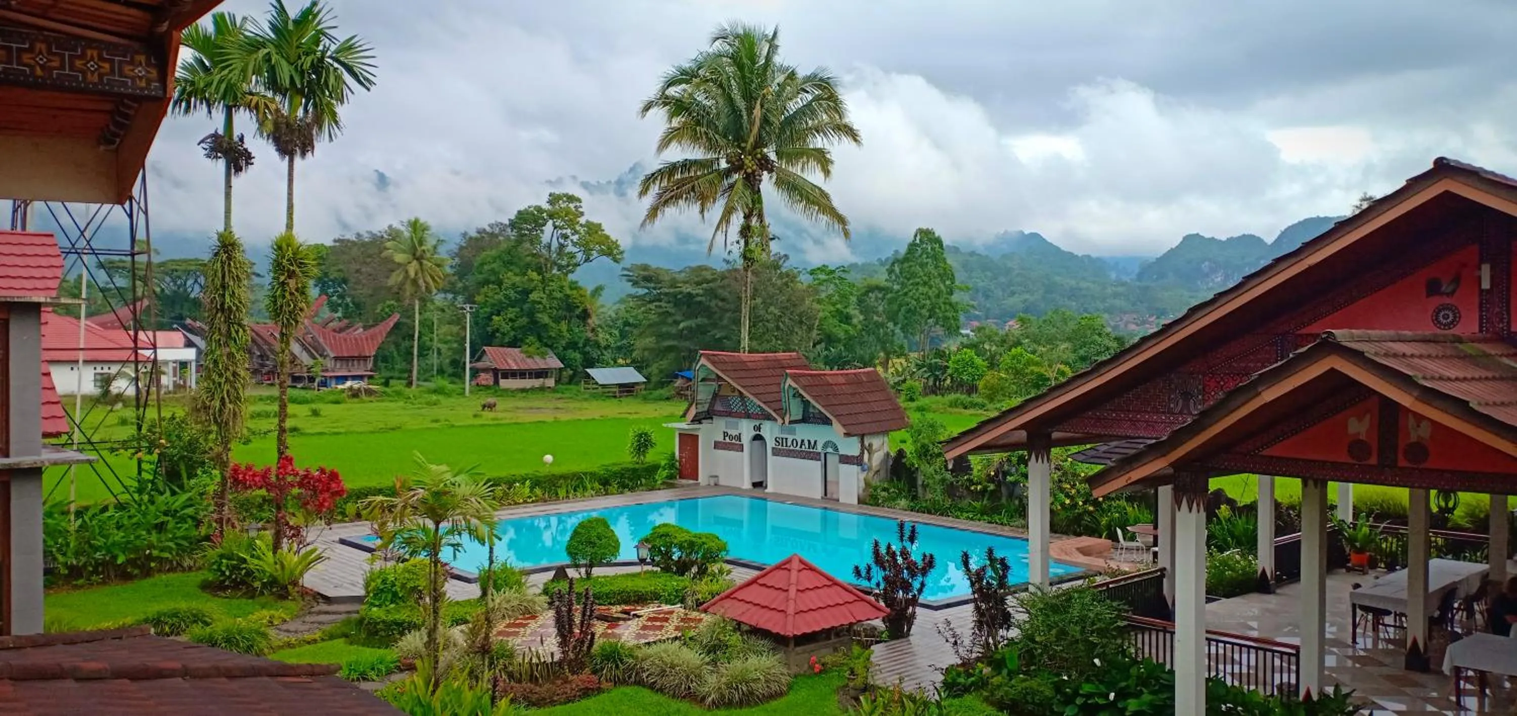 Pool view in Toraja Torsina Hotel