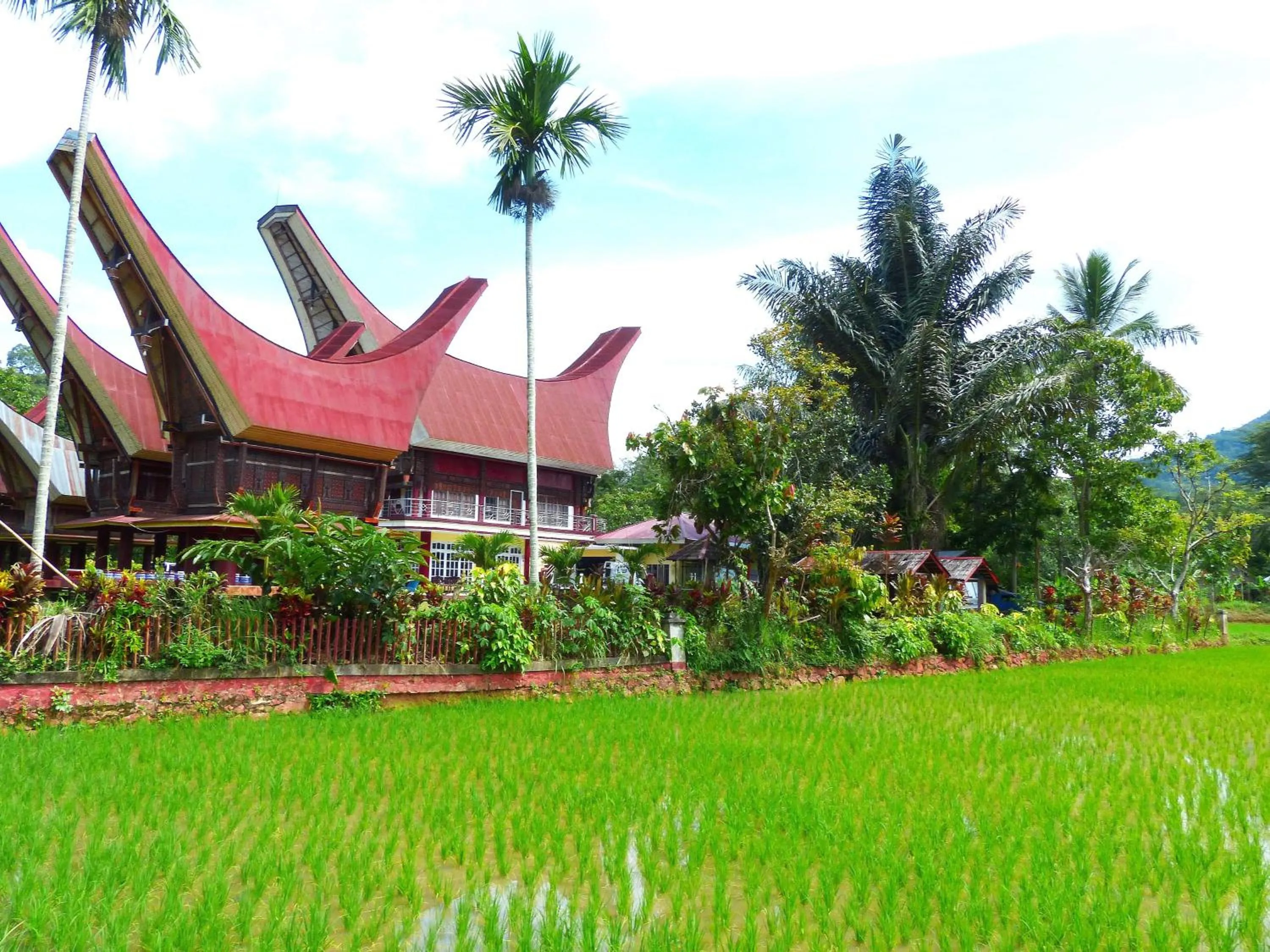 Property building in Toraja Torsina Hotel