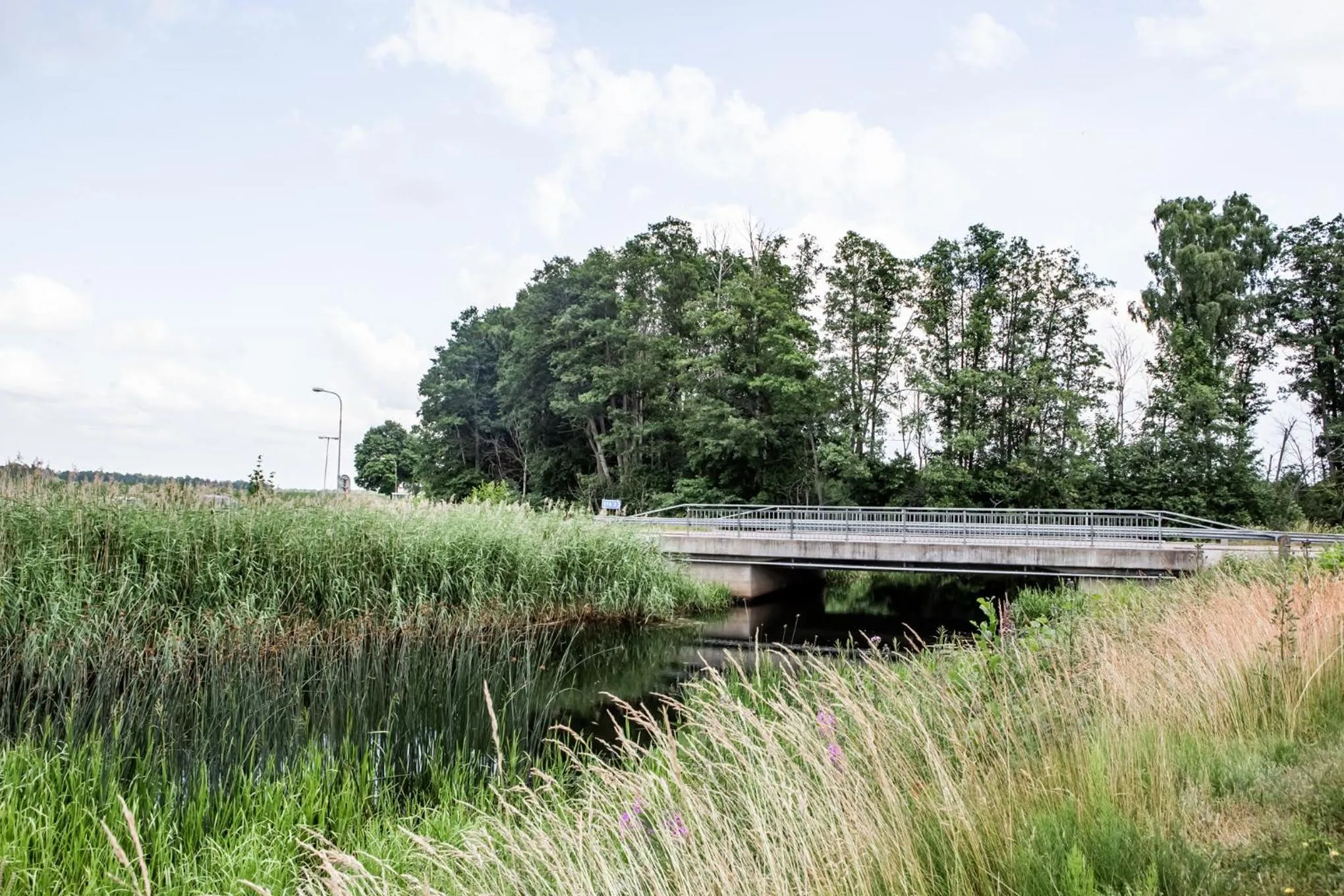 Spring in Spångholmen Bed & Breakfast AB