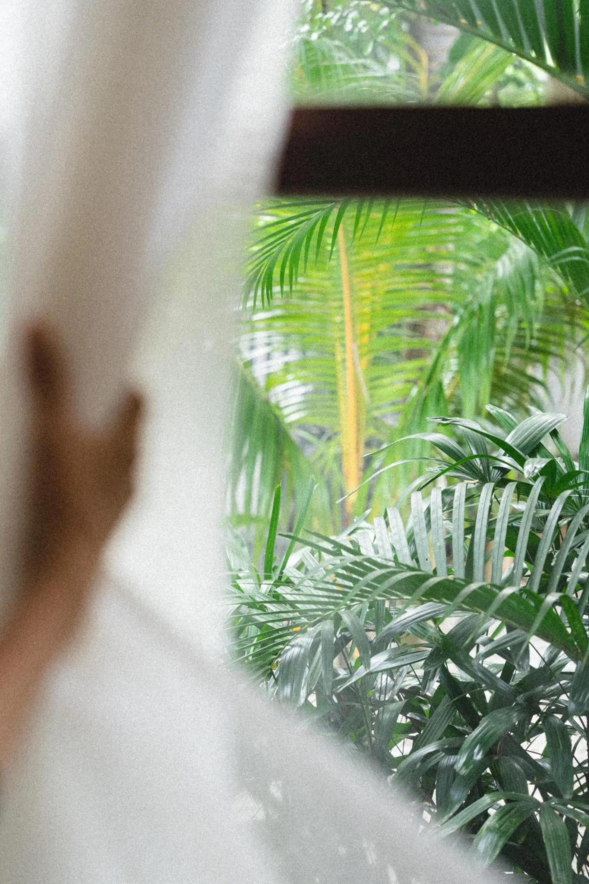 Natural landscape in Suku Lifestyle Hotel & Villas