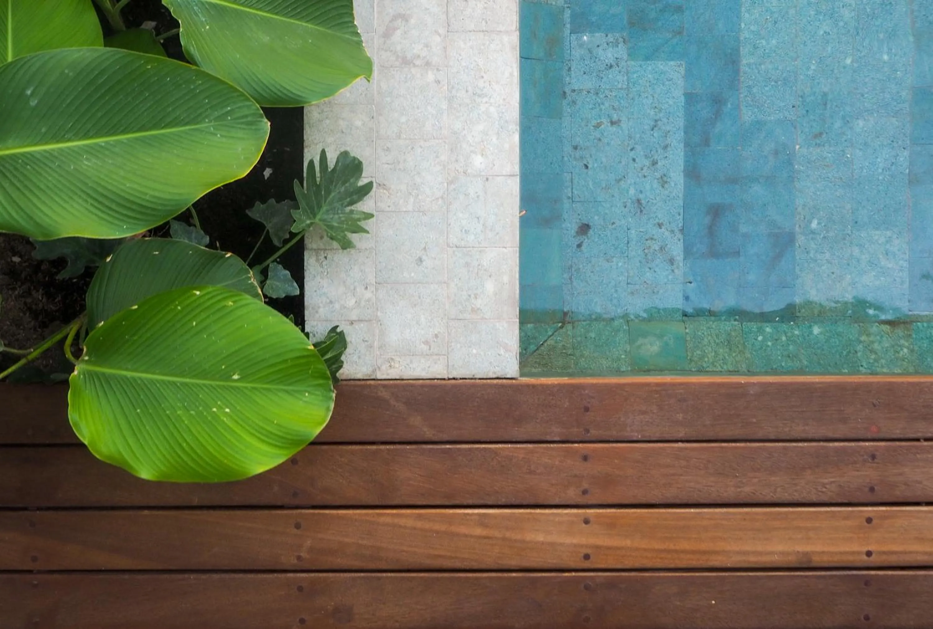 Garden in Suku Lifestyle Hotel & Villas