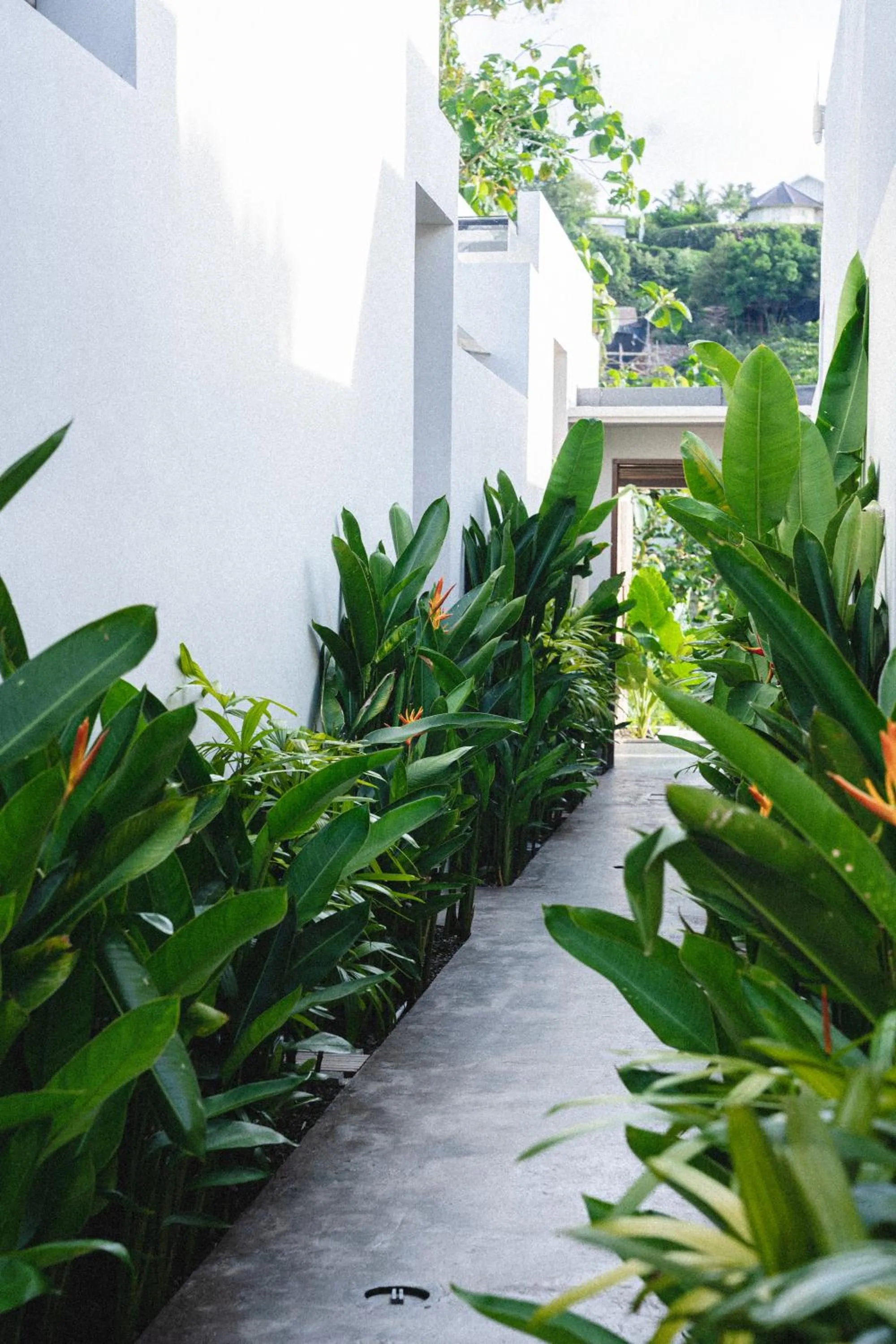 Garden in Suku Lifestyle Hotel & Villas