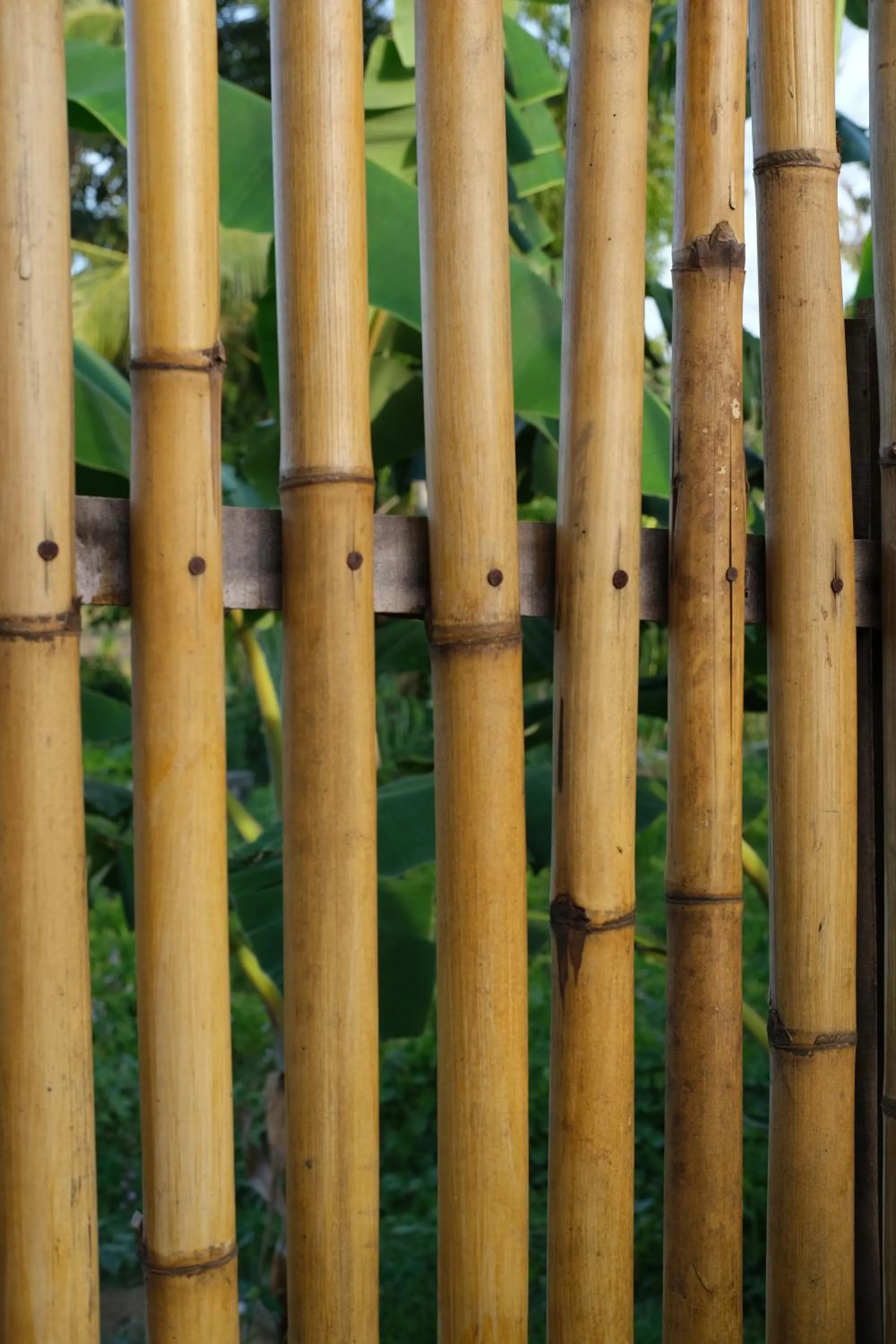 Garden view in Suku Lifestyle Hotel & Villas