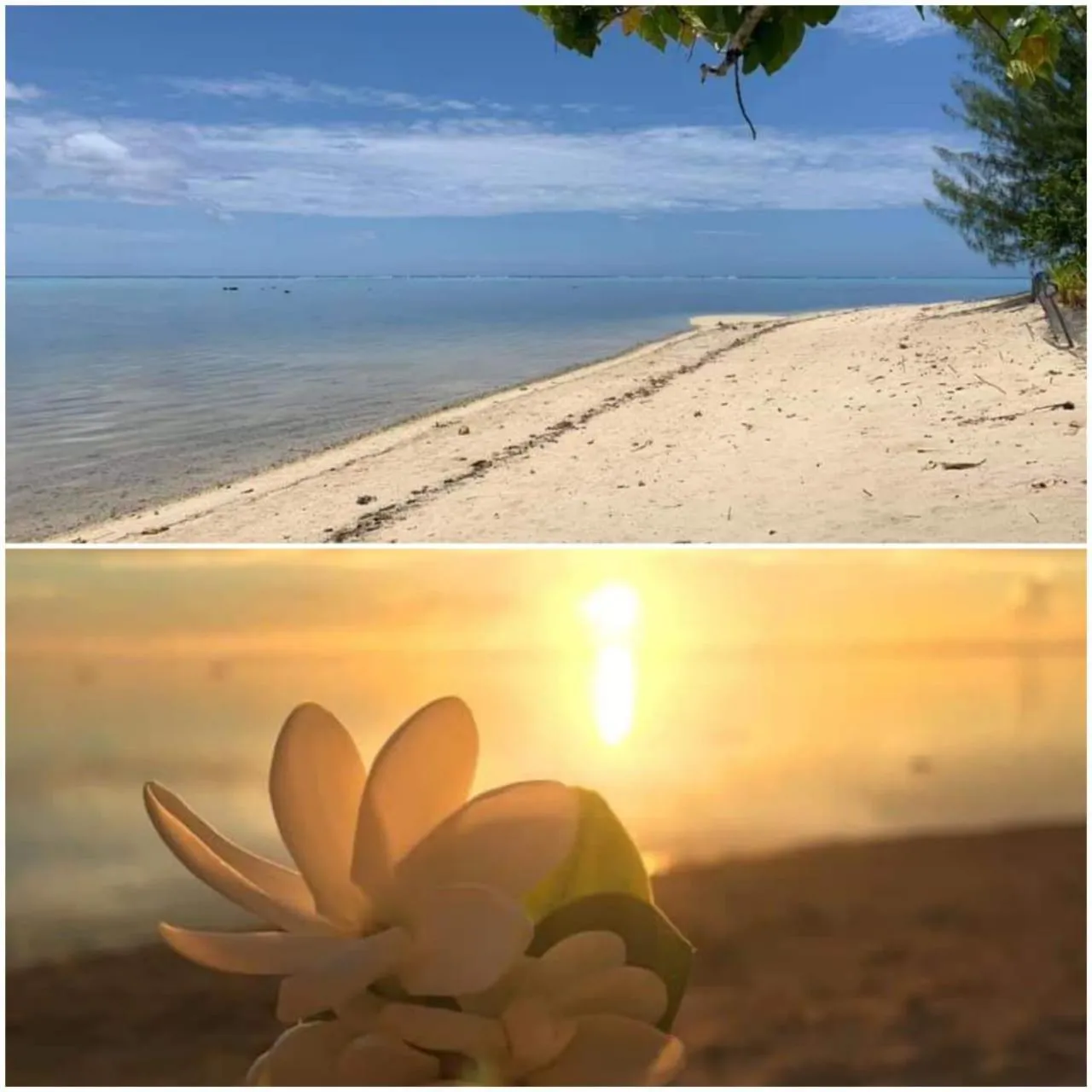 Beach in Residence Vainau Moorea