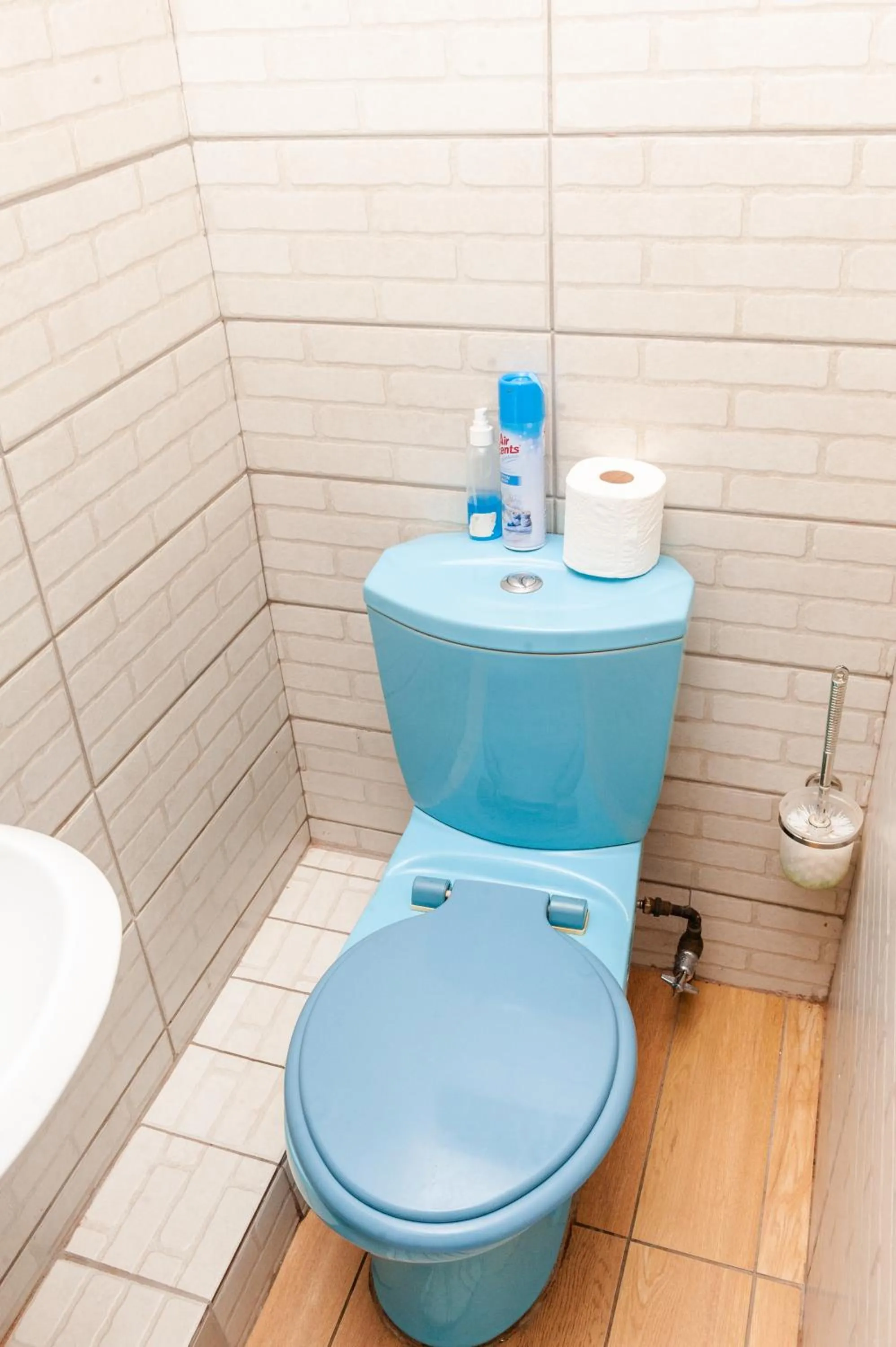 Toilet in Nkosazana Guest House