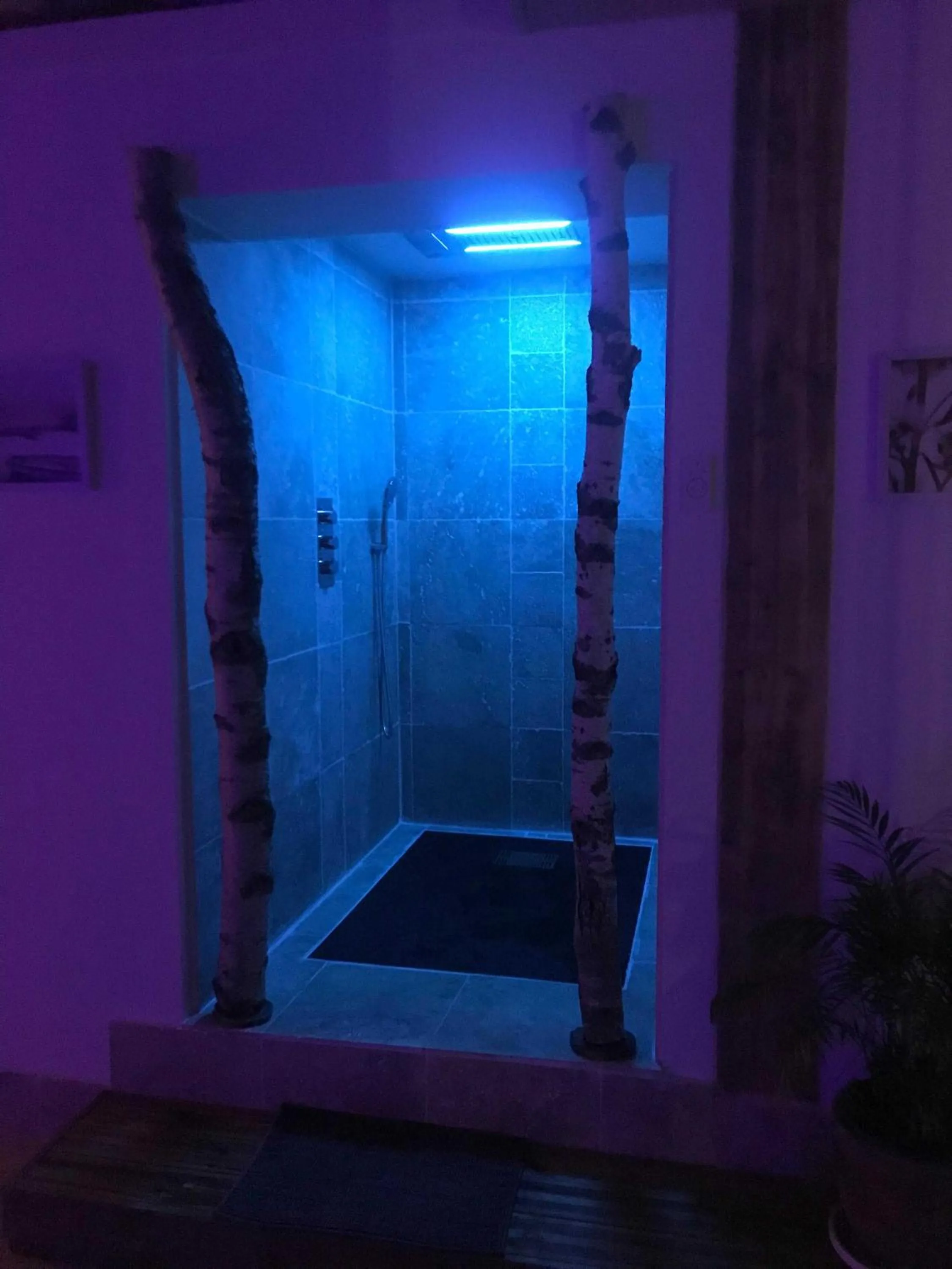 Spa and wellness centre/facilities in Le Chateau de la Barre